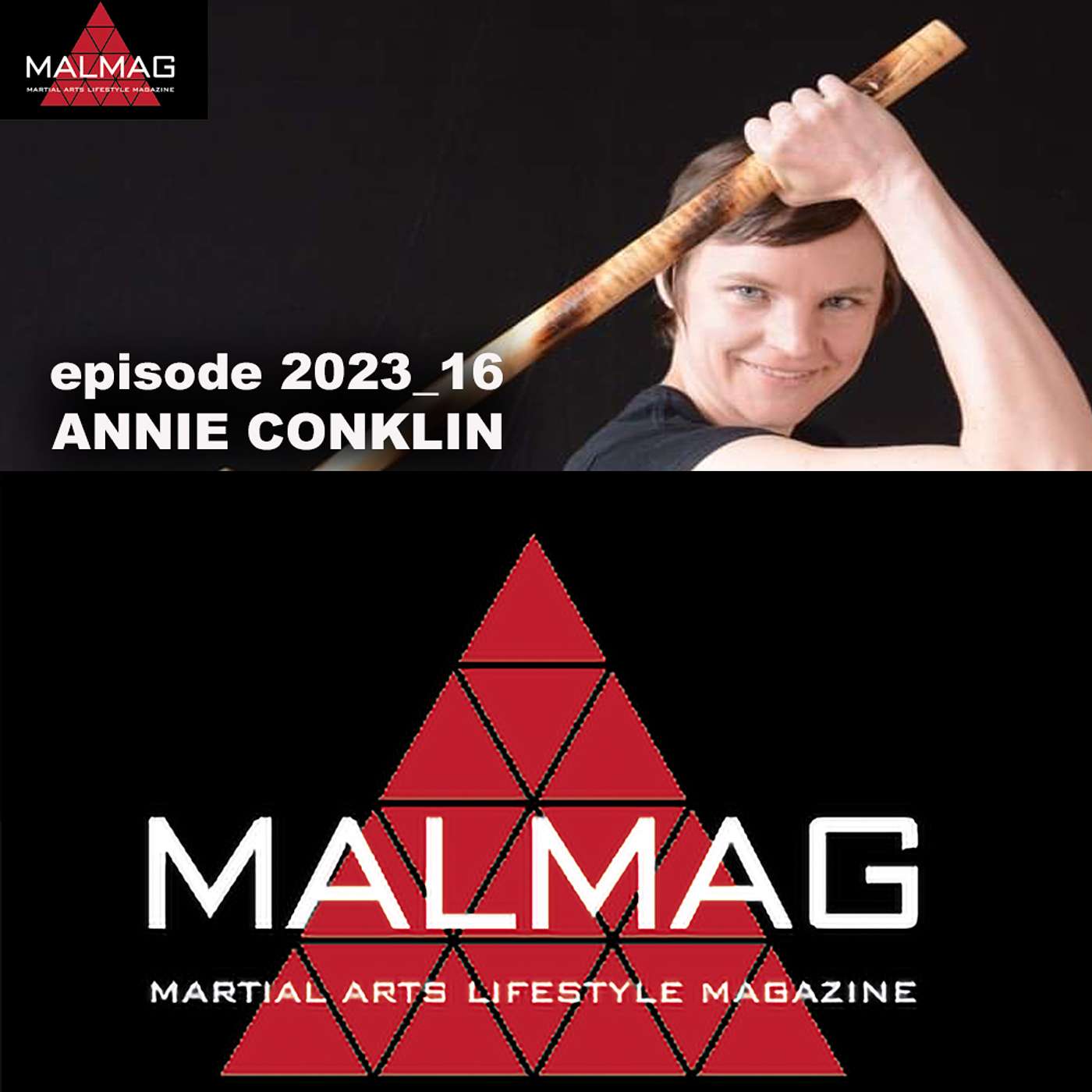 The Martial Arts Lifestyle Podcast