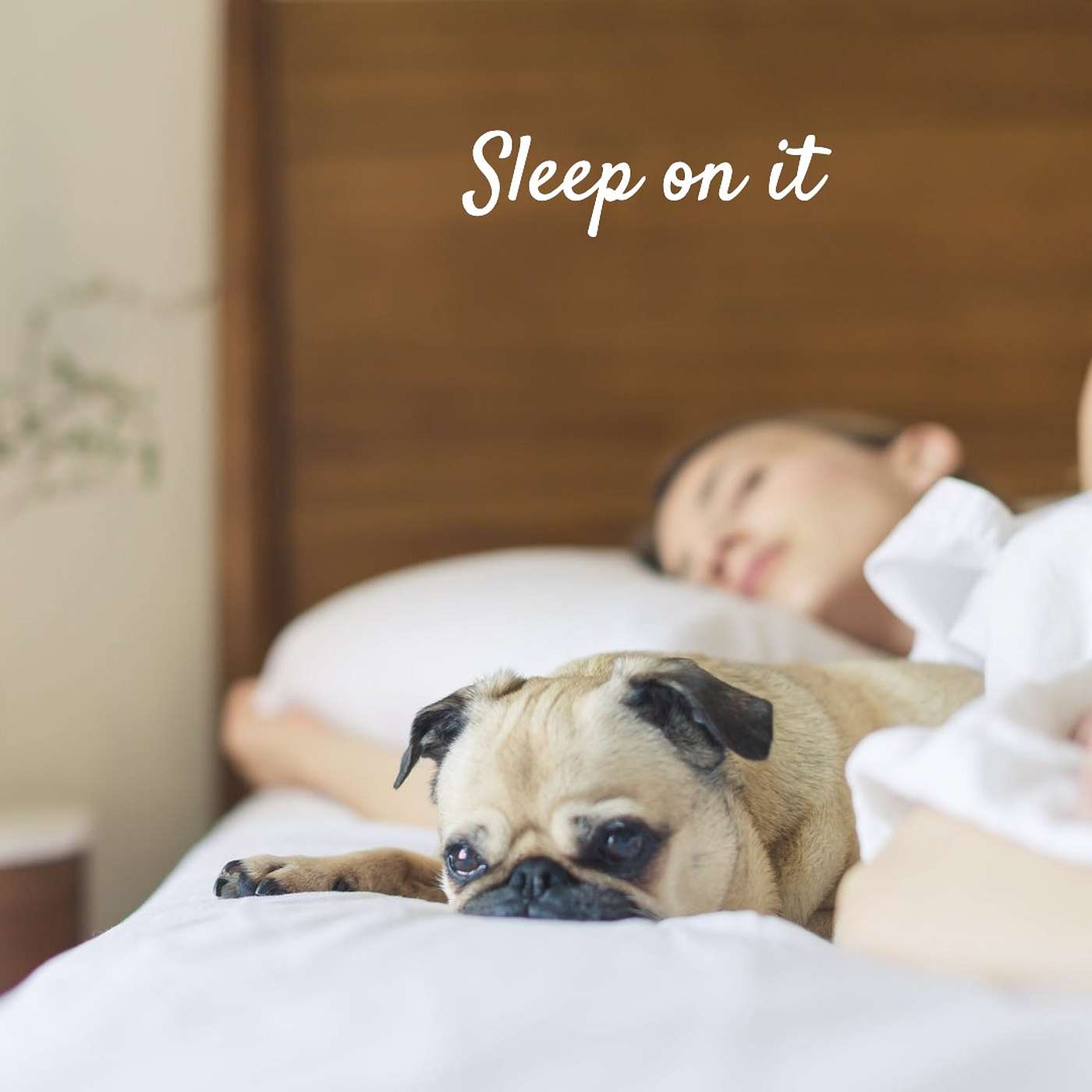 #227 Sleep on it episode artwork