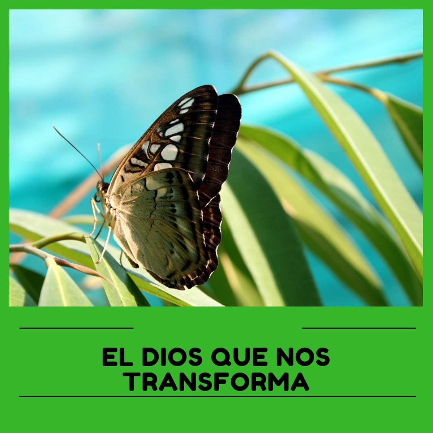 El Dios Que Nos Transforma