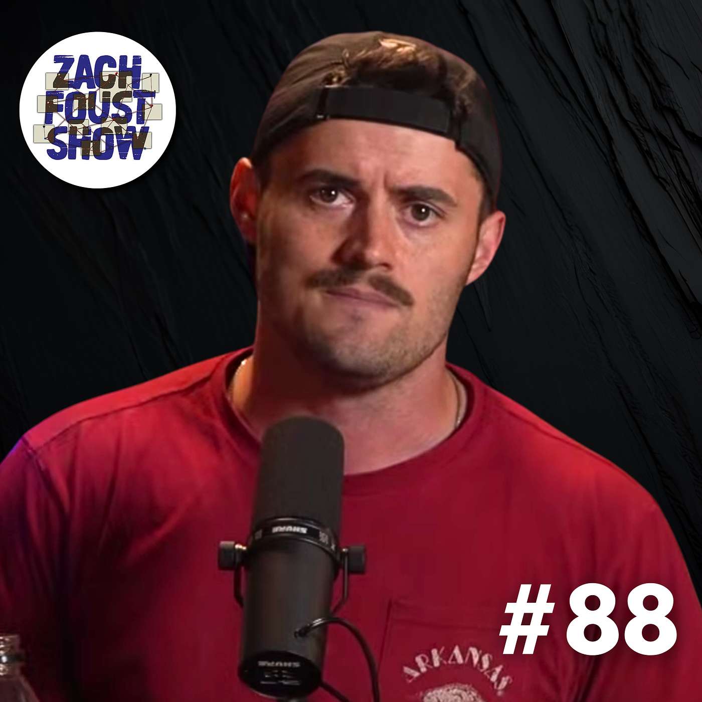 Are they selling America for parts? | ZFS 88
