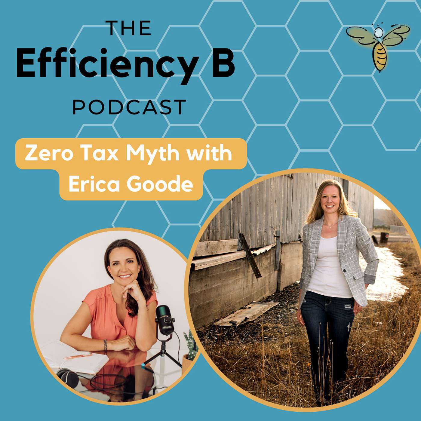 Efficiency Bitch, How Ambitious Women Can Have It All Without Doing It All - Ep 103: BANK-Zero Tax Myth with Erica Goode