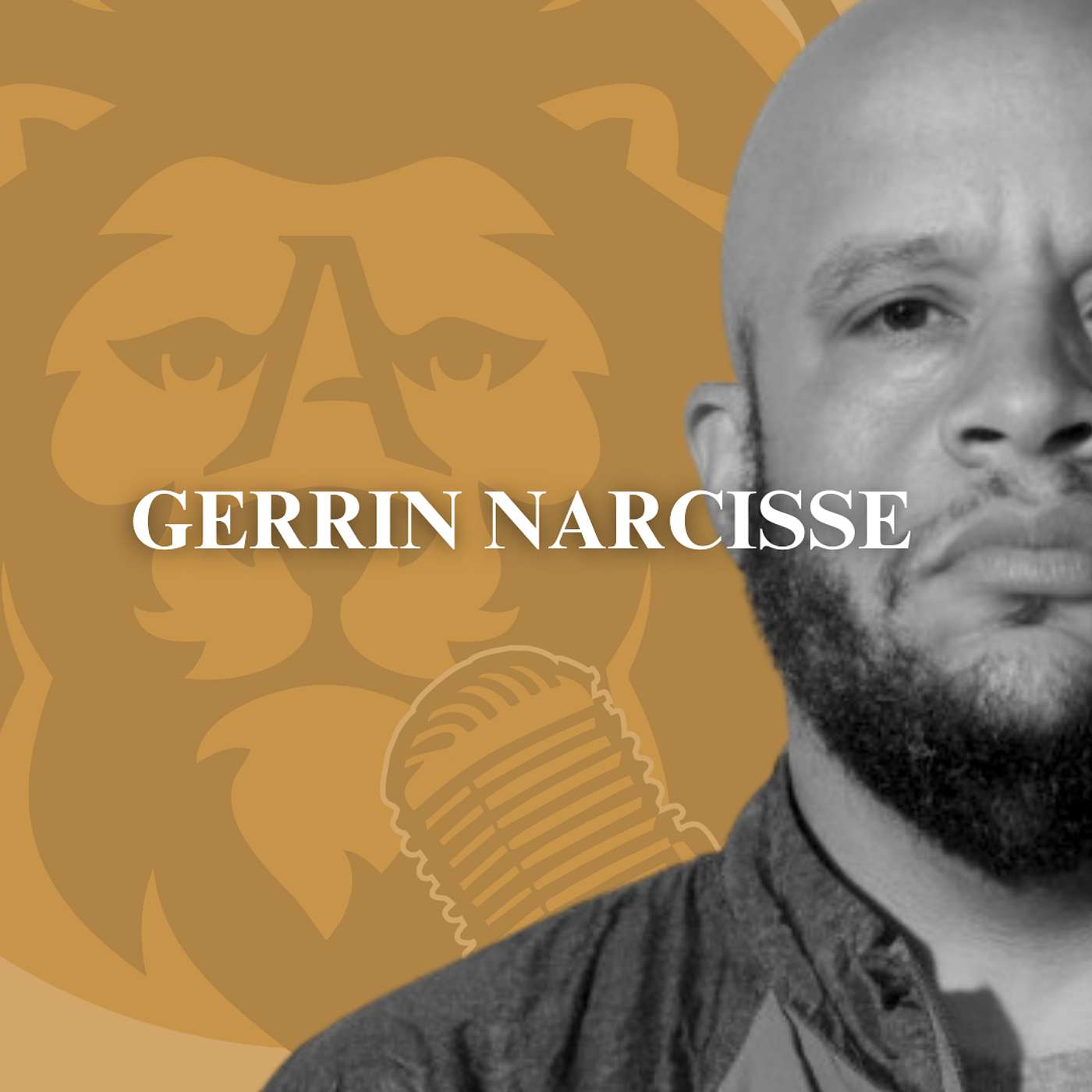 In The Arena Podcast