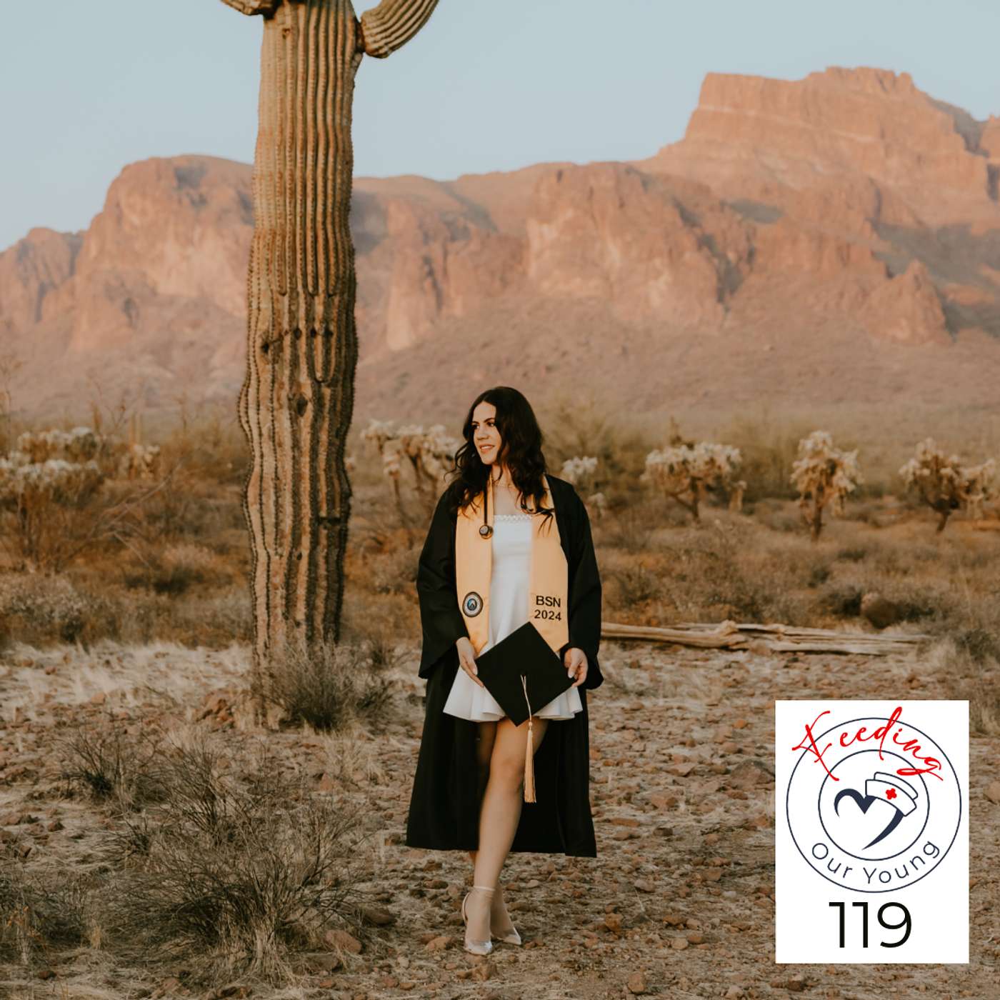 119 - Ashley Collins Pt 2: Just Keep Chipping Away
