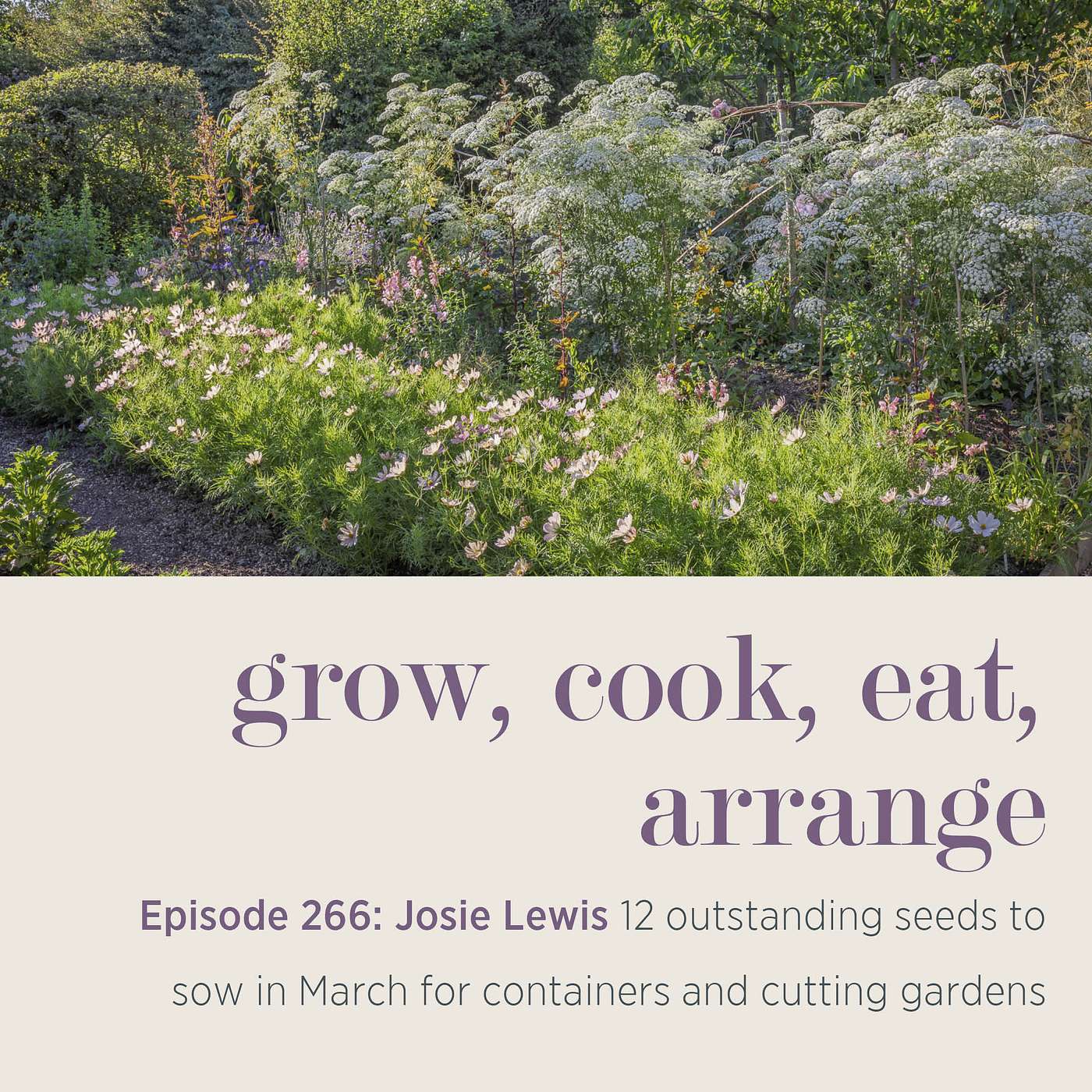 Josie Lewis: 12 outstanding seeds to sow in March for containers and cutting gardens - Episode 266
