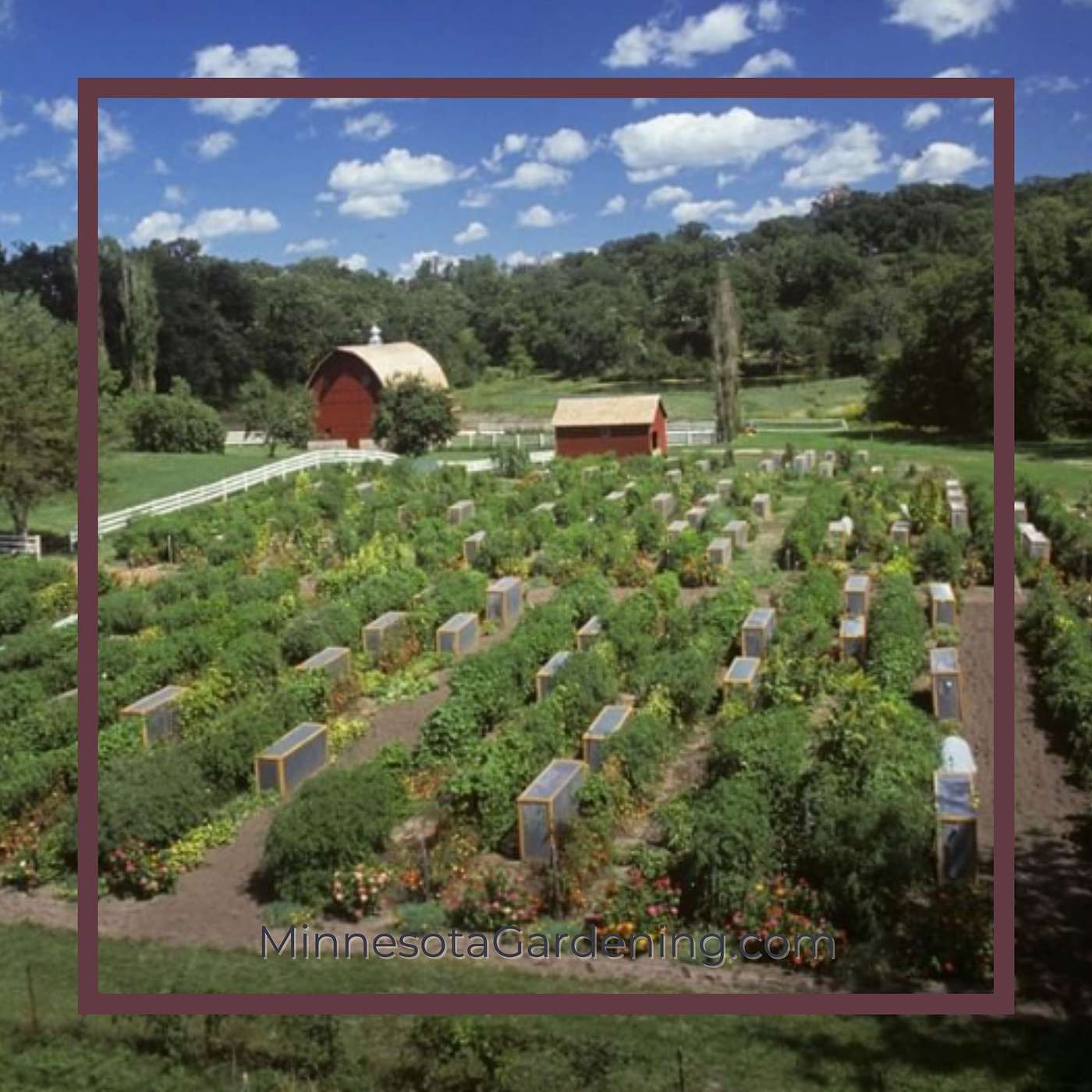 Minnesota Gardening Podcast