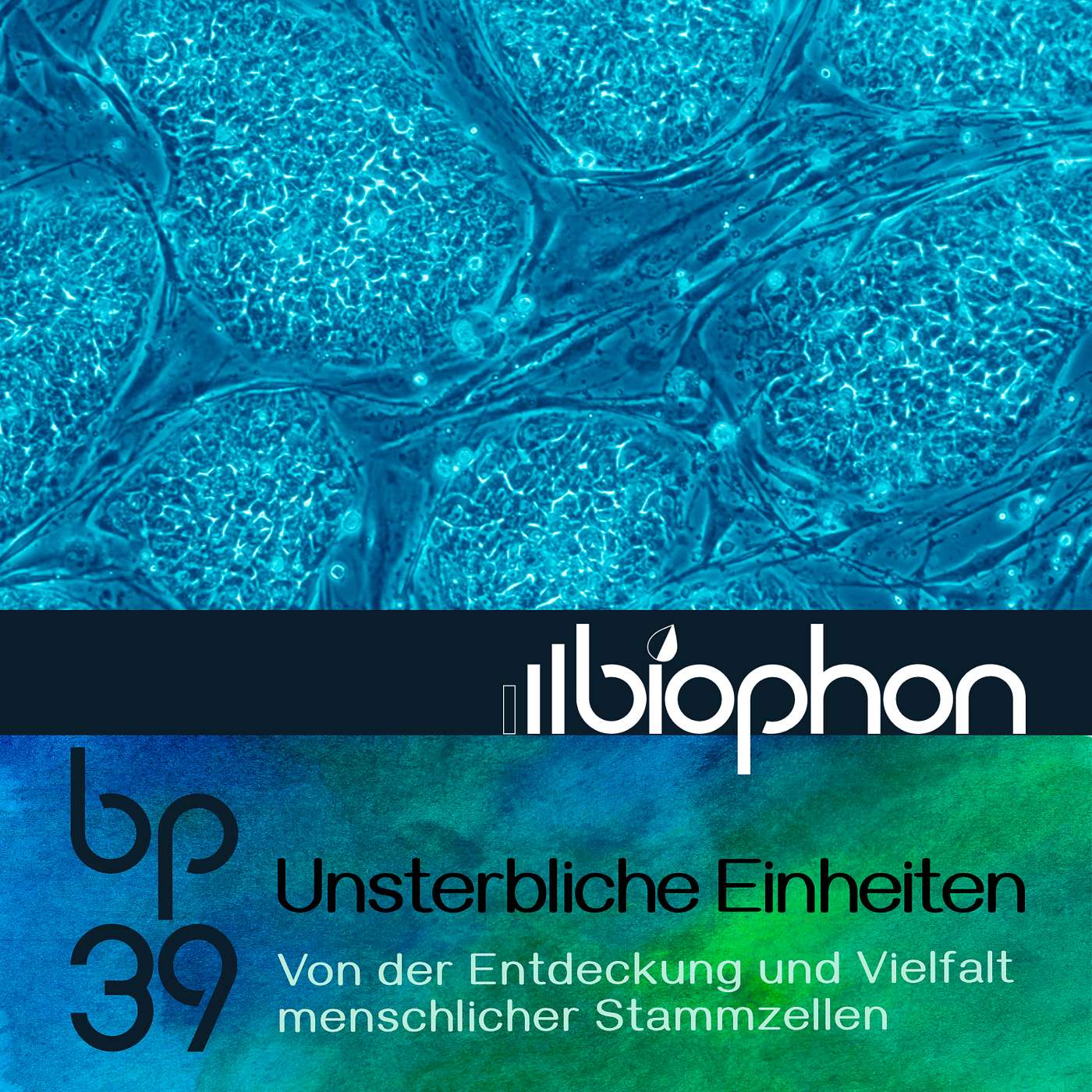 biophon - Geschichten aus Biowissenschaft und Forschung