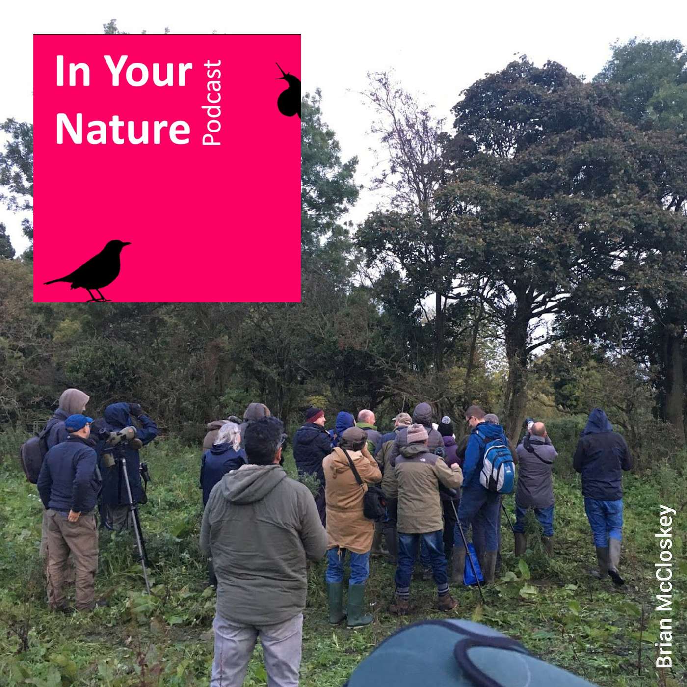 In Your Nature Ep 25 - Birding Culture