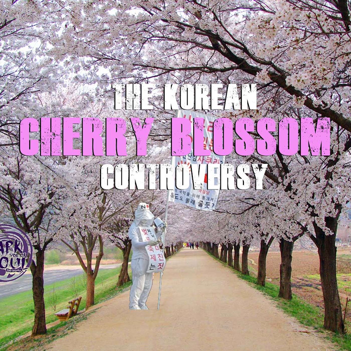 The Korean Cherry Blossom Controversy