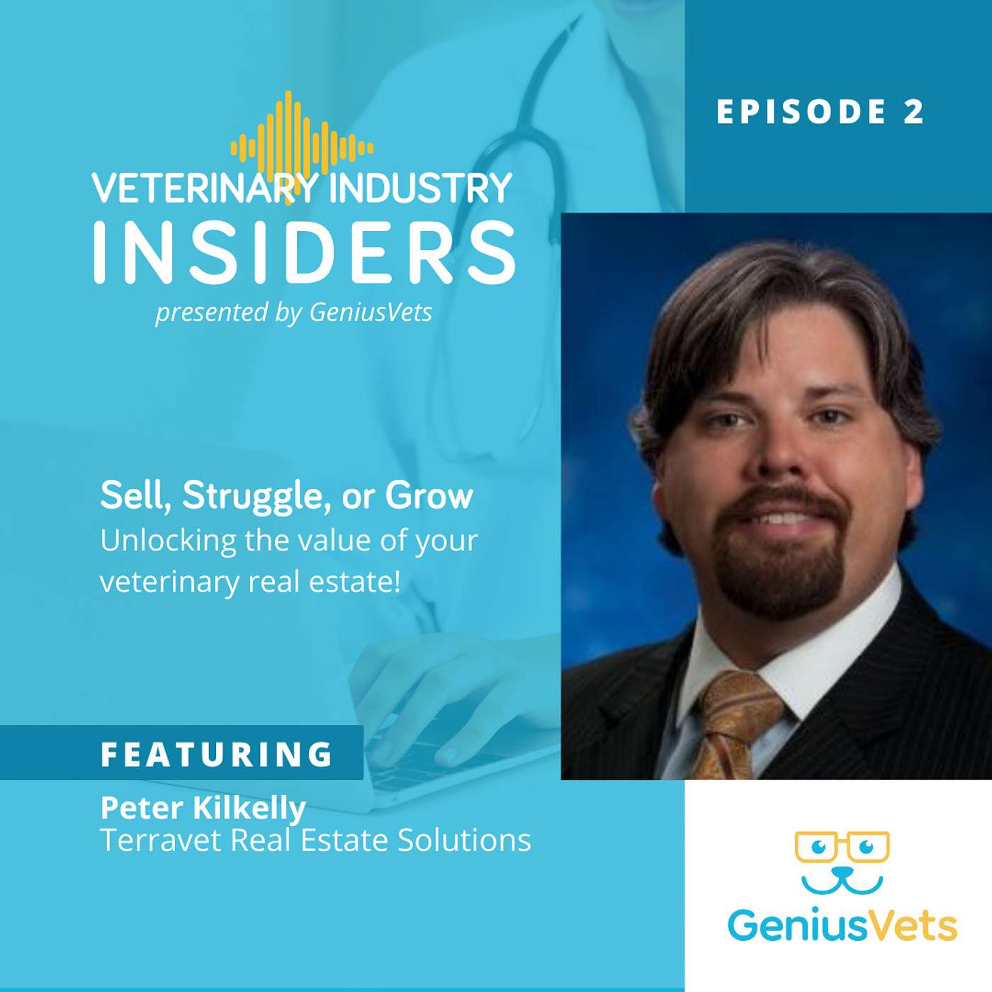 The GeniusVets Show - For Practice Owners and Industry Pros
