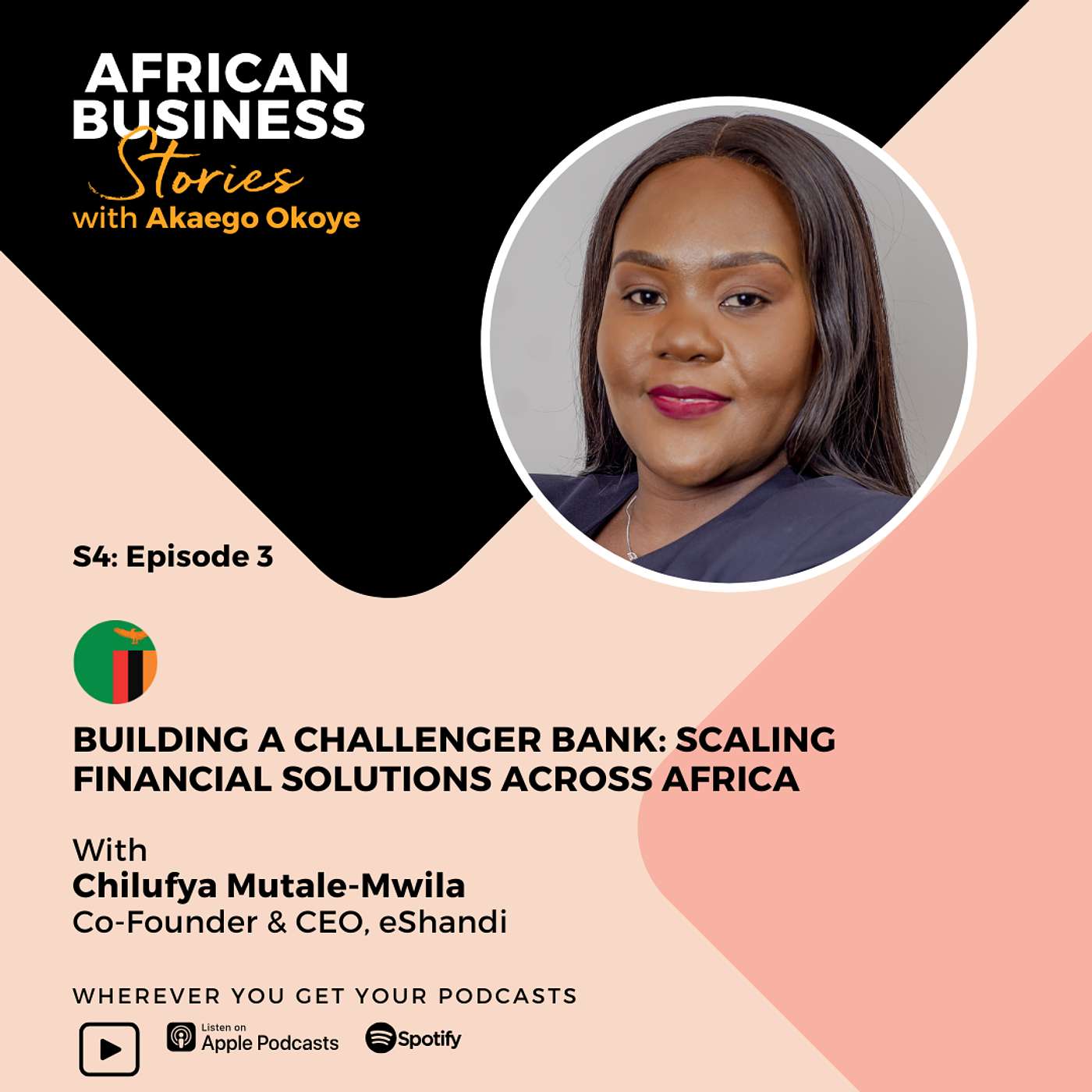 African Business Stories