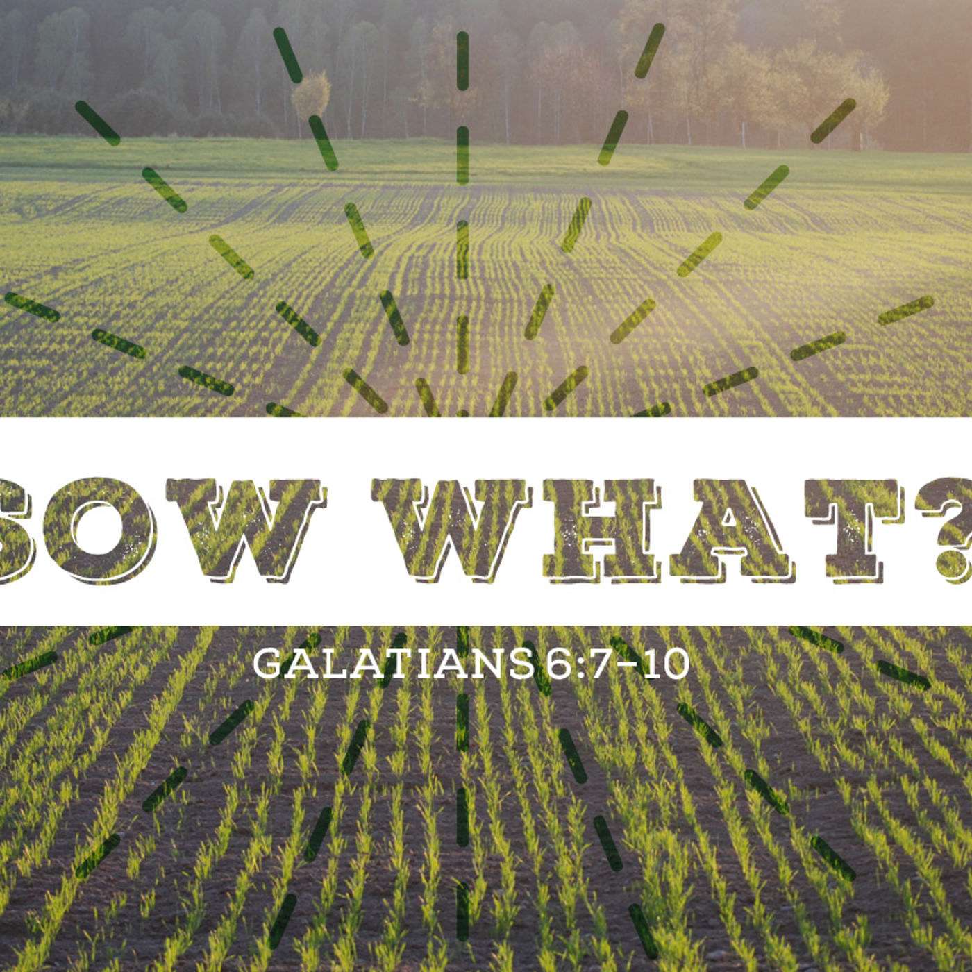 Sow What