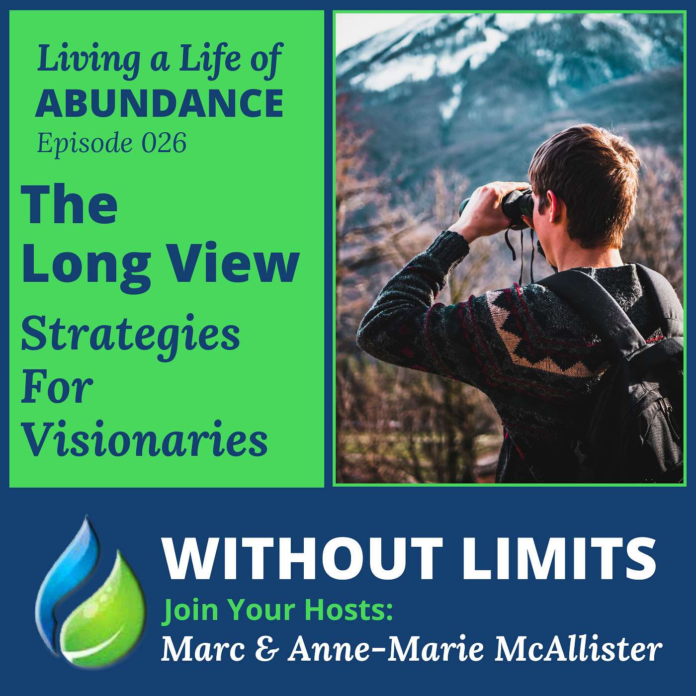 Without Limits Podcast - The Long View ~ Strategies for Visionaries