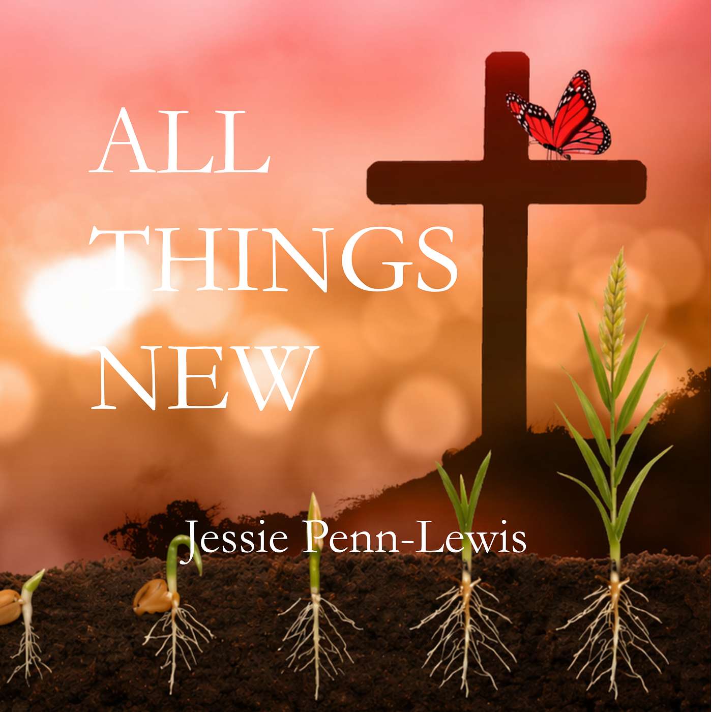 IM Christian Classics - All Things New - Chapter 4 - The Cross in the Light of the Fall episode artwork