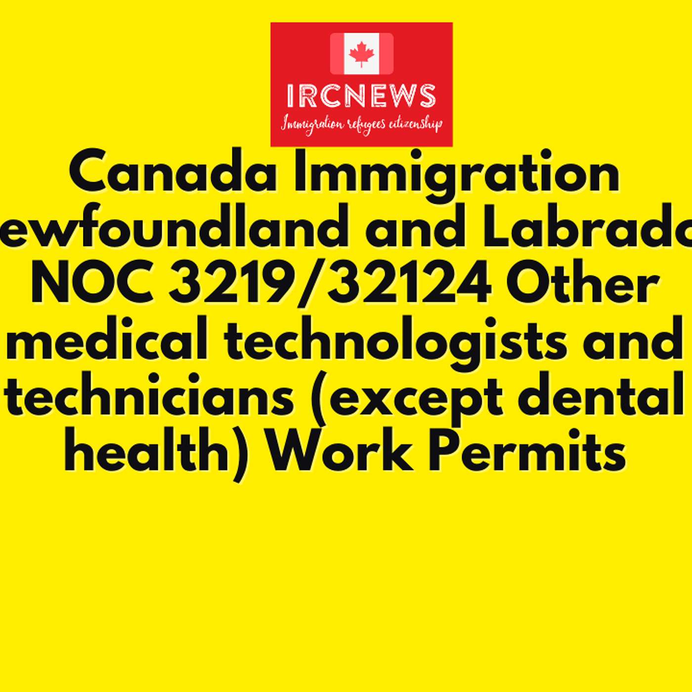 Canada Immigration Newfoundland and Labrador NOC 3219/32124 Other medical technologists and technicians (except dental health) Work Permits episode artwork