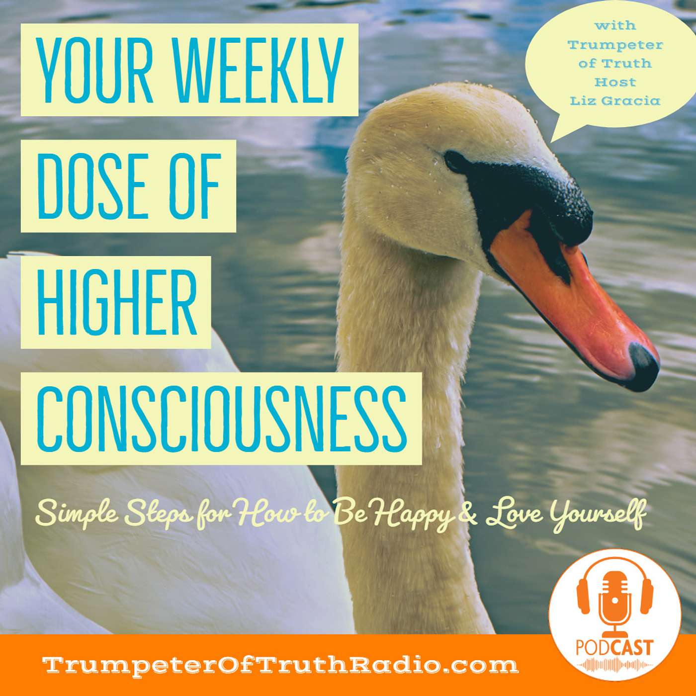 FB 3: The Map of Consciousness Explained: The Lower Levels of Consciousness