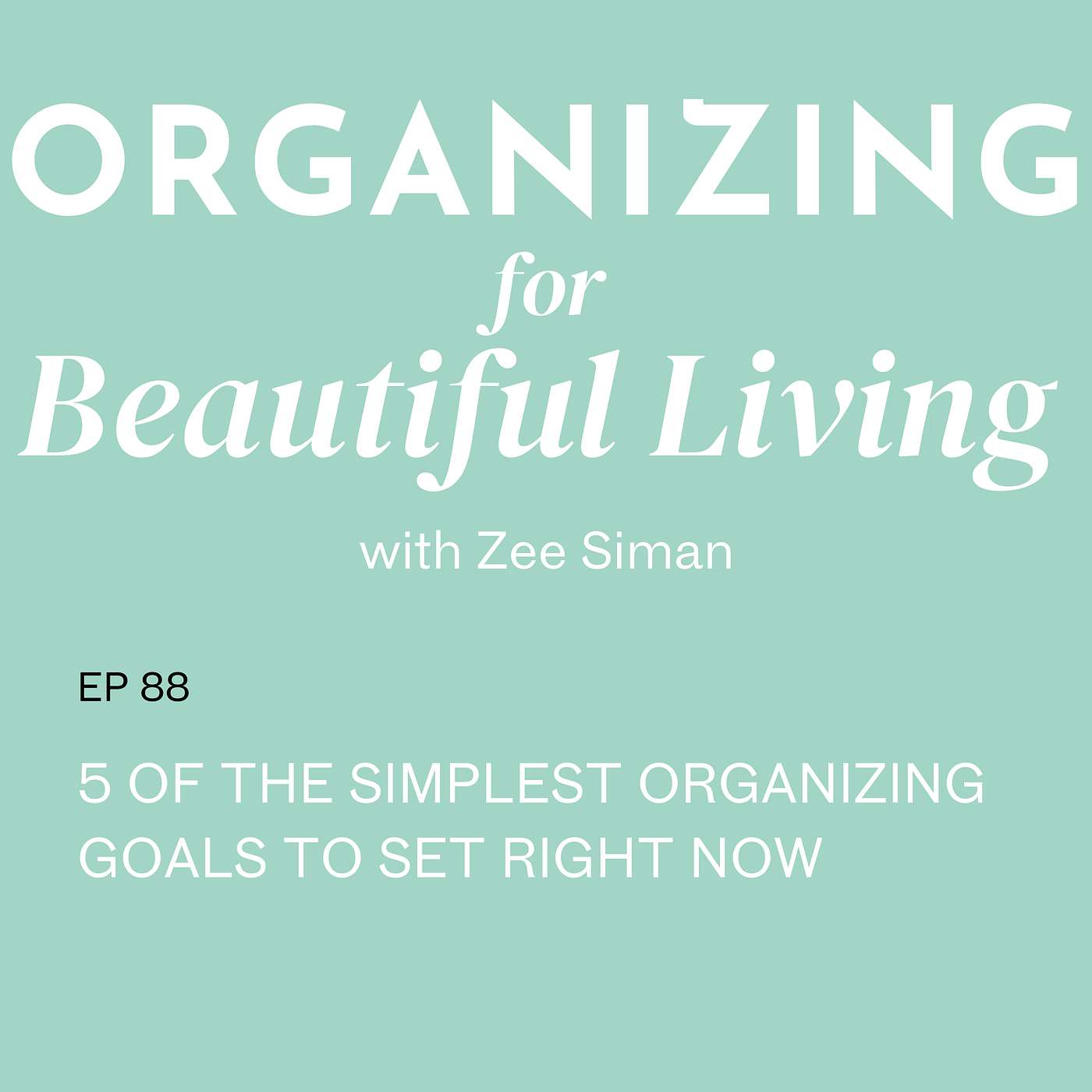 088. 5 of the Simplest Organizing Goals to Set Right Now
