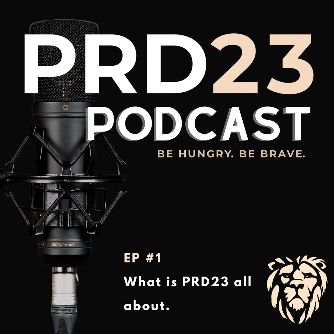PRD23 Podcast
