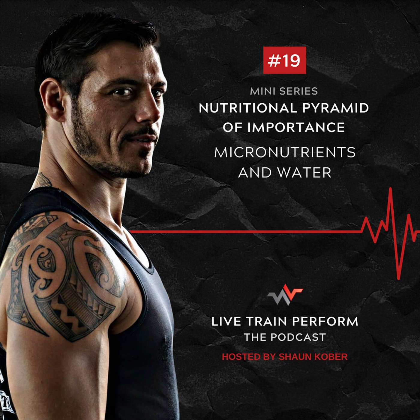 Episode 19: Nutritional Pyramid of Importance Mini Series: Micronutrients and Water episode artwork