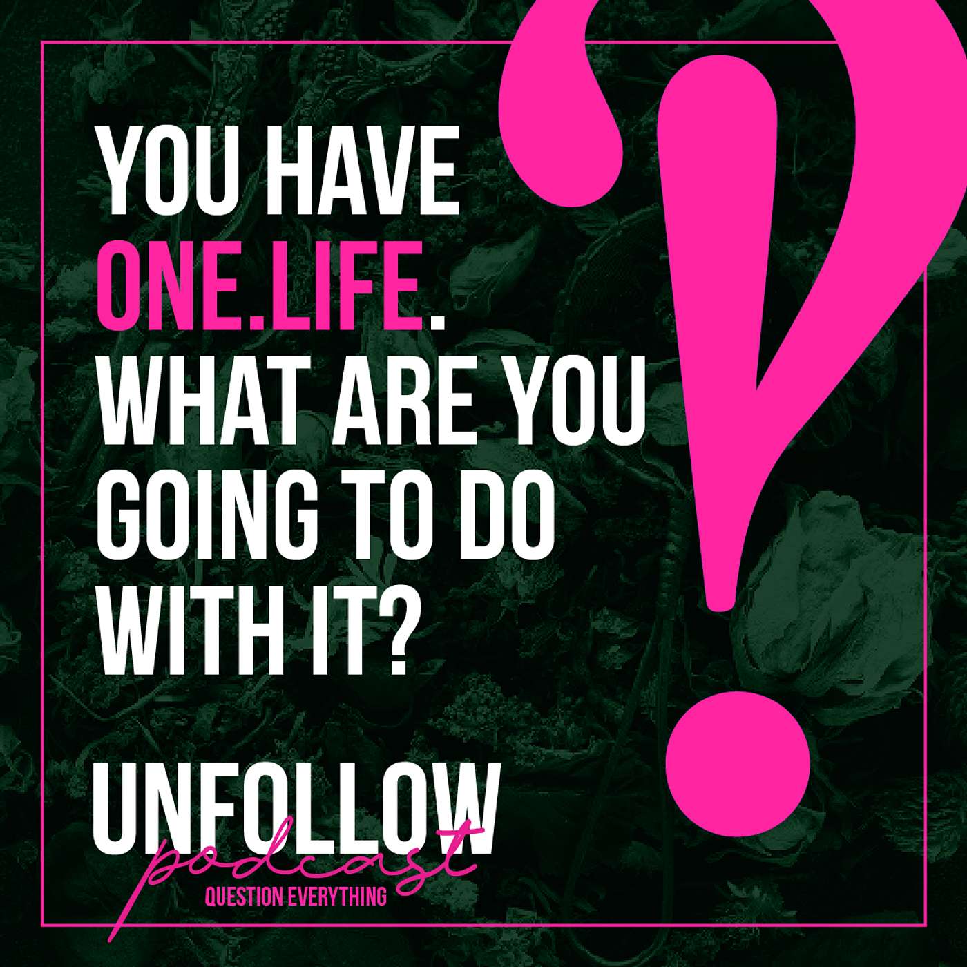 UnFollow: Question Everything with Melissa Wiggins