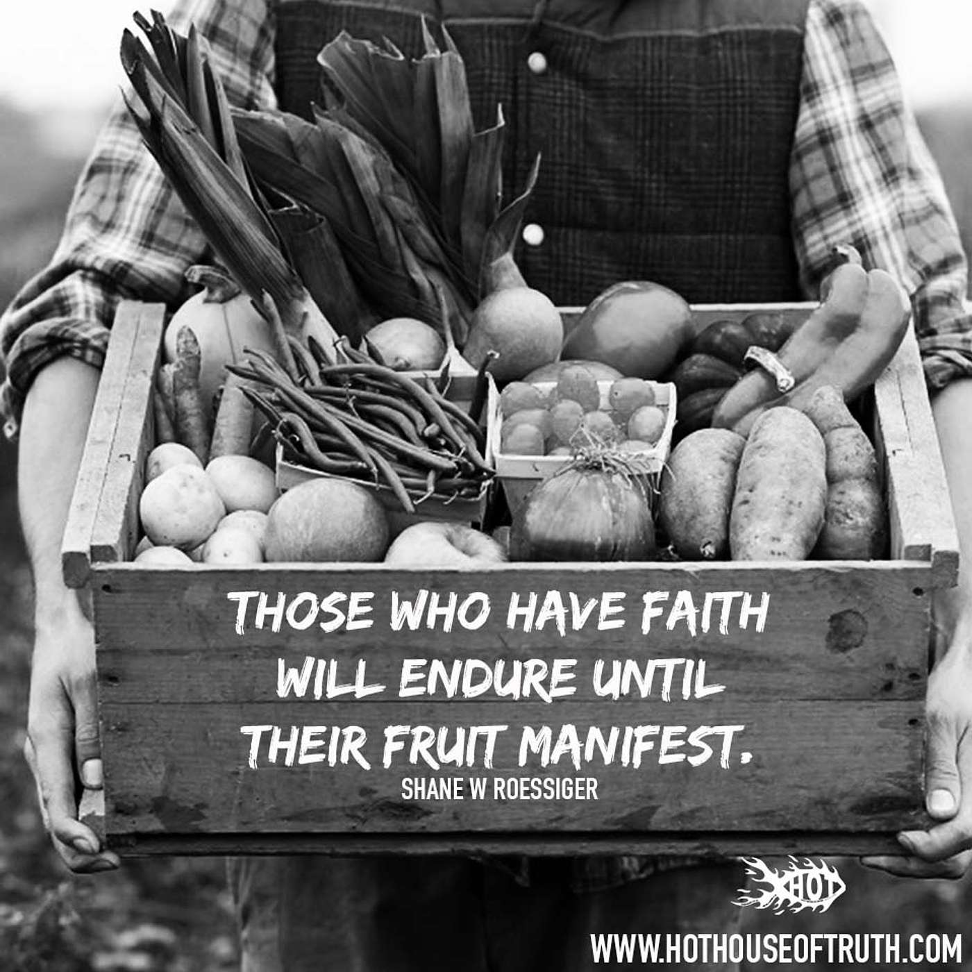 Fruit by Shane W Roessiger