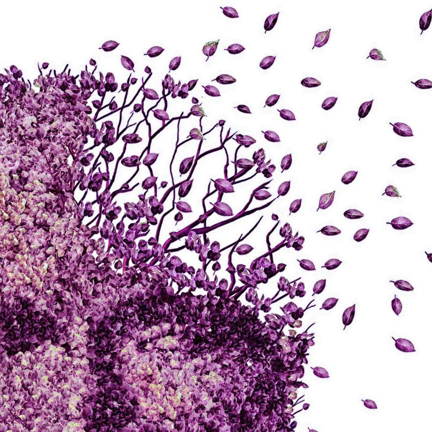 The Health Edge: translating the science of self-care