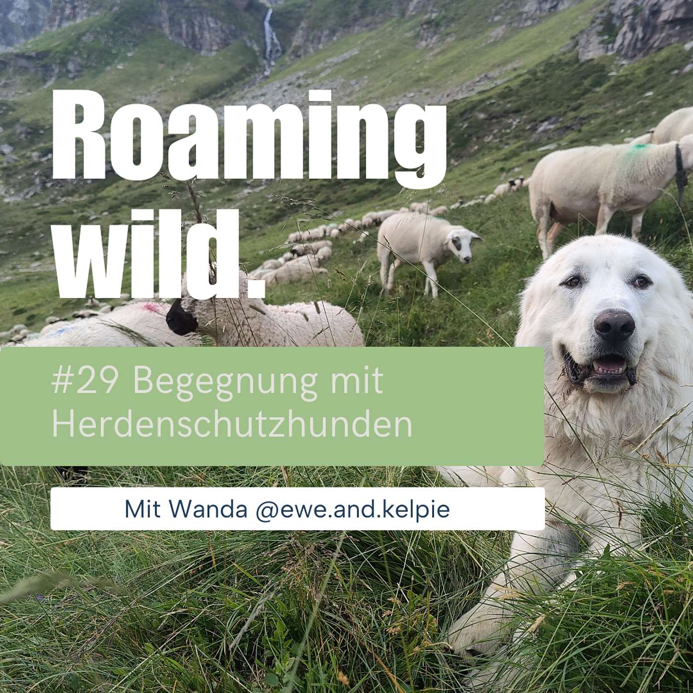 Roaming Wild - Outdoorerlebnisse und Fotografie mit Hund