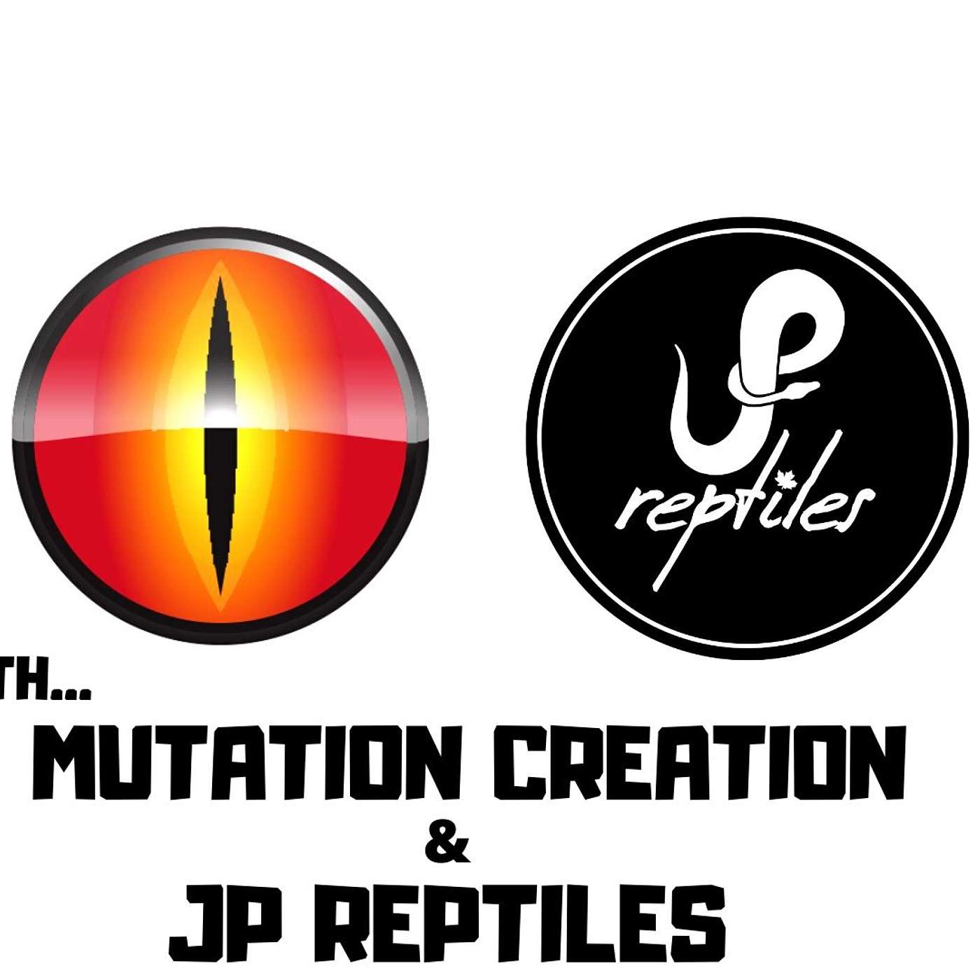 #18 MUTATION CREATION & JP REPTILES