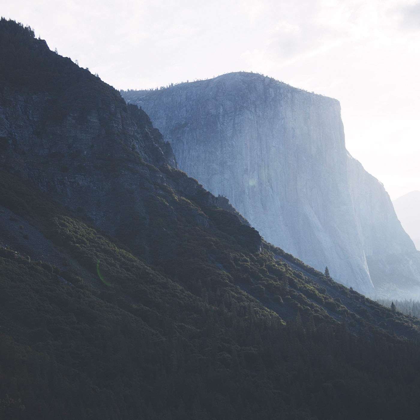 Go: A Call To An Active Faith