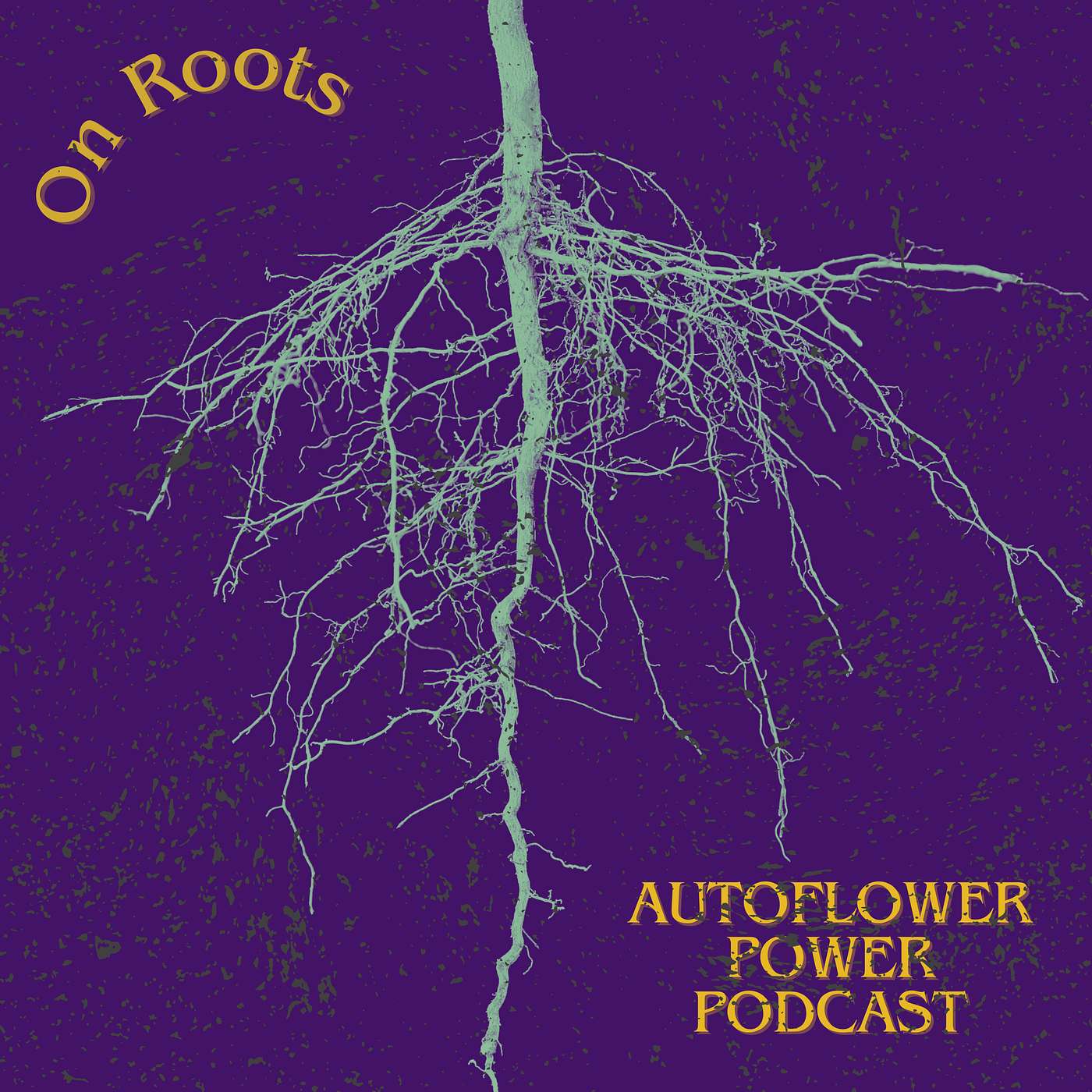 On the Roots of Autoflowers