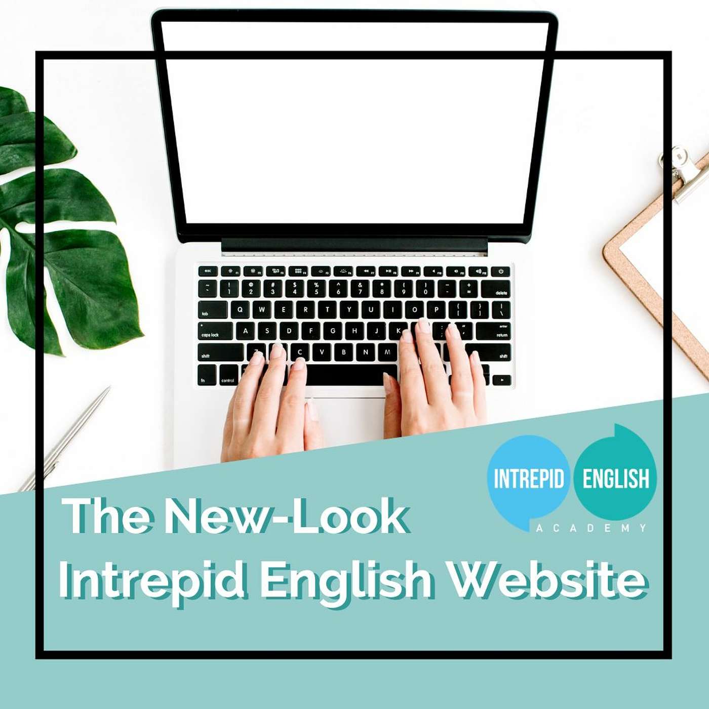 The New - Look Intrepid English Website