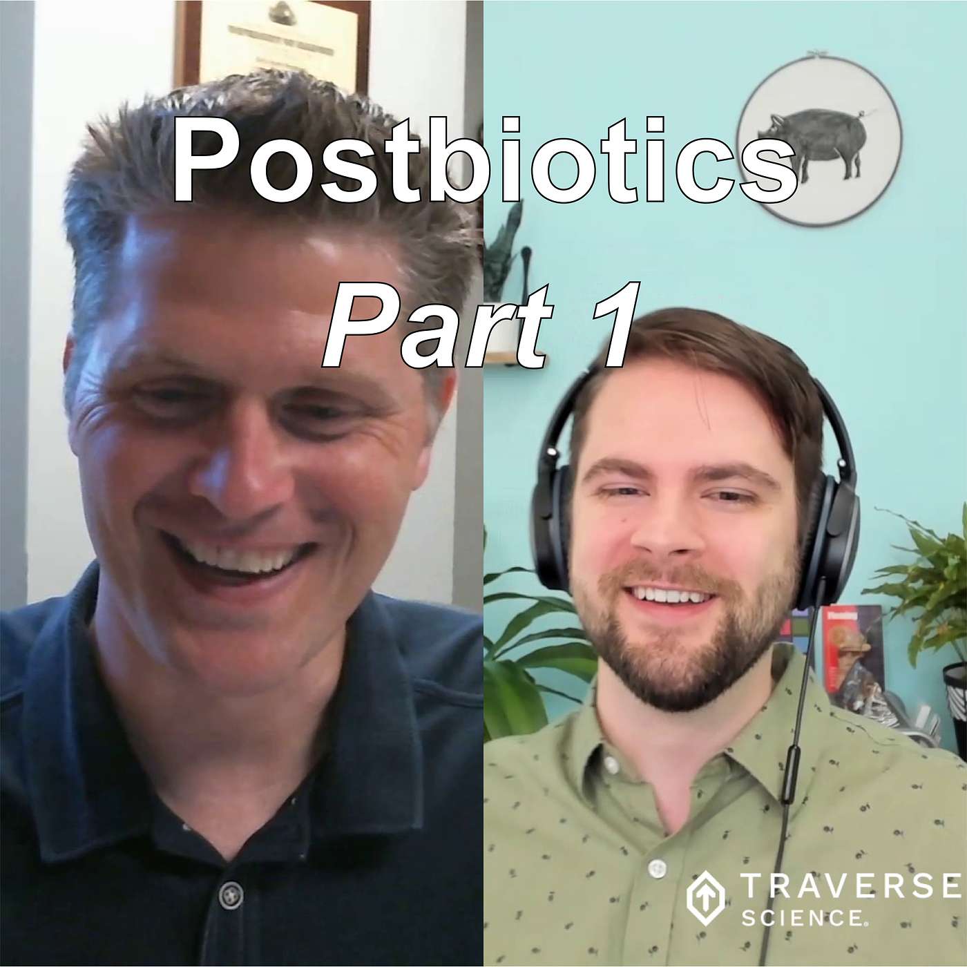 The Traverse Science Podcast