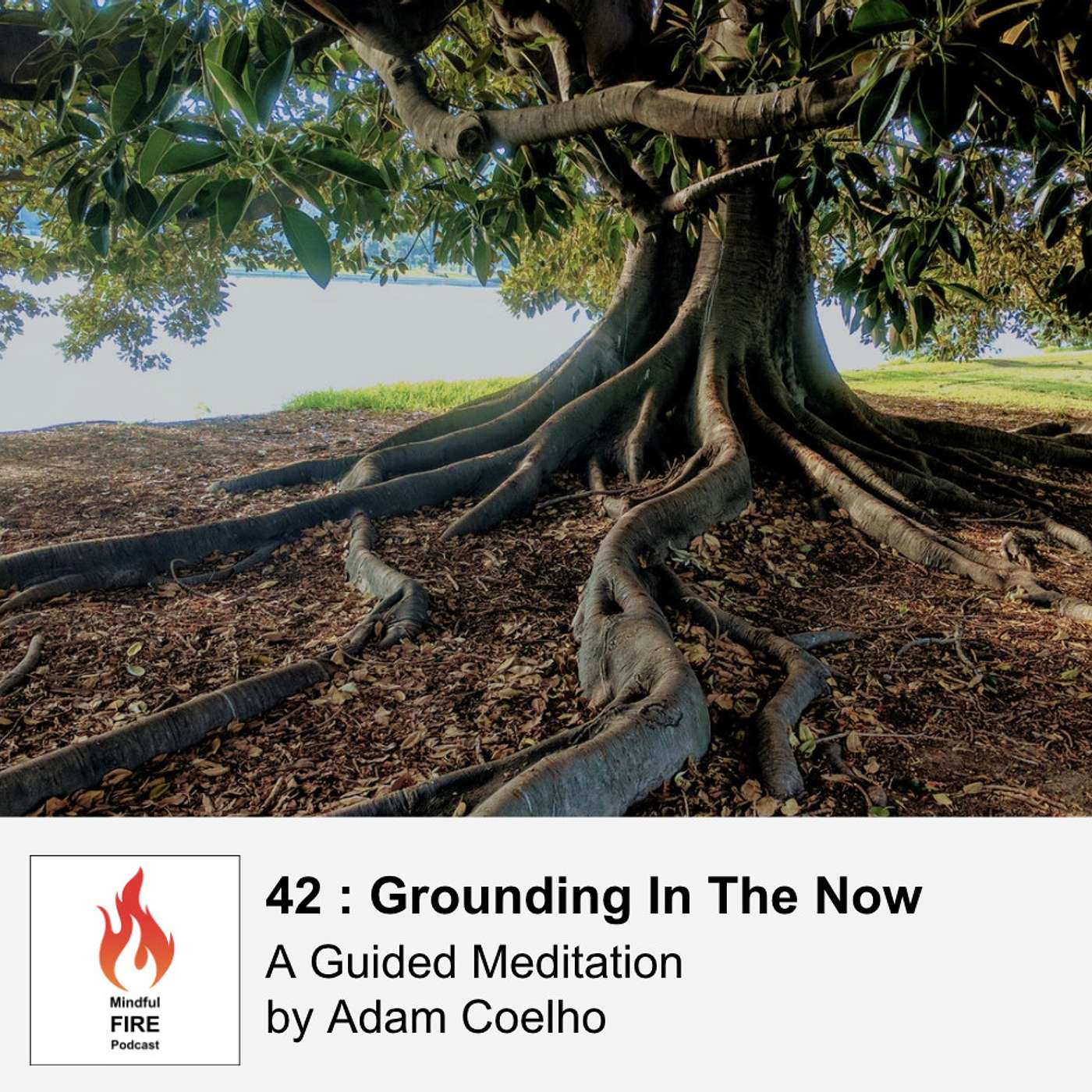 42 : Meditation - Grounding In The Now