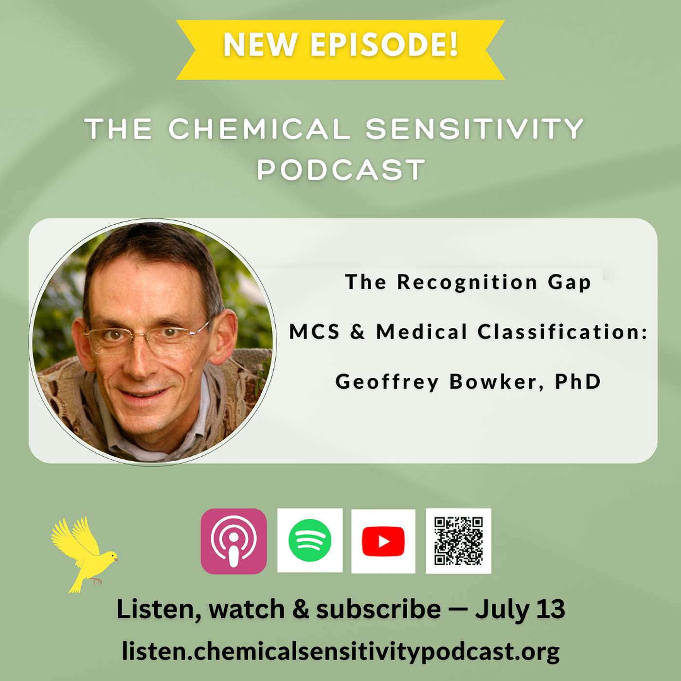 The Recognition Gap - MCS & Medical Classification: Geoffrey Bowker, PhD episode artwork