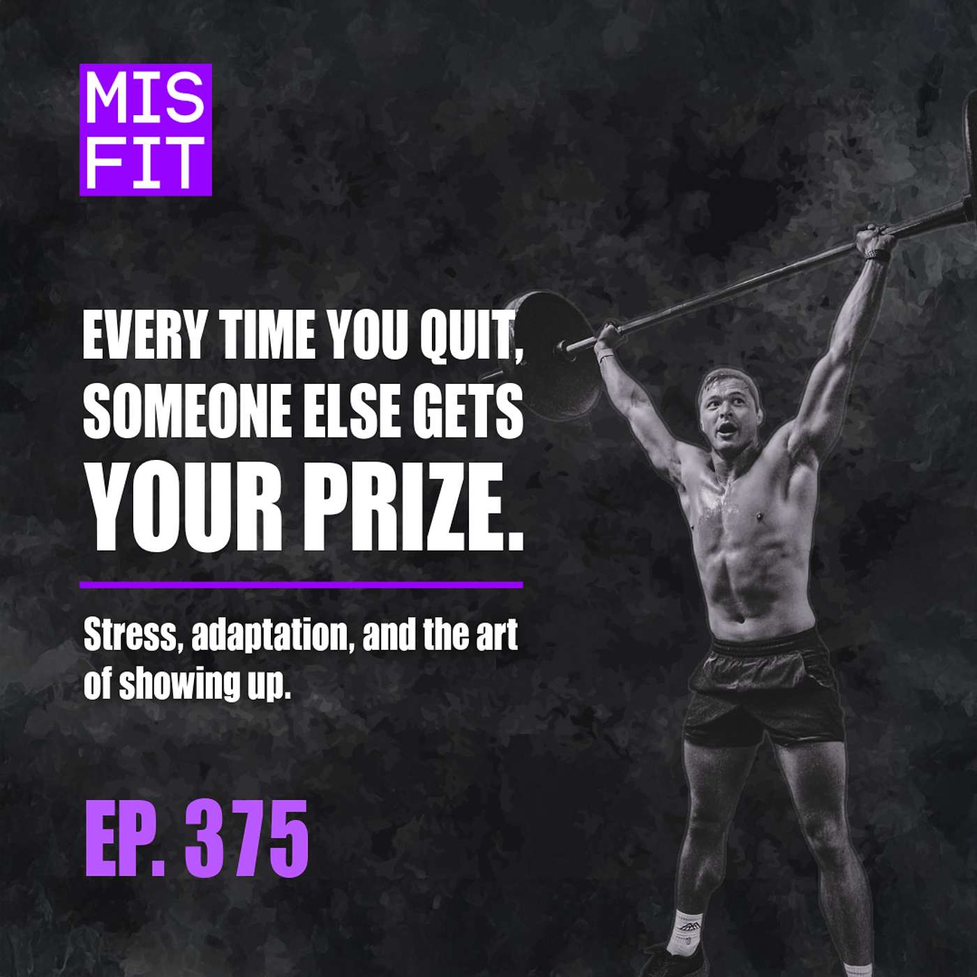 Every Time You Quit, Someone Else Gets Your Prize: Stress, adaptation, and the art of showing up - E.375