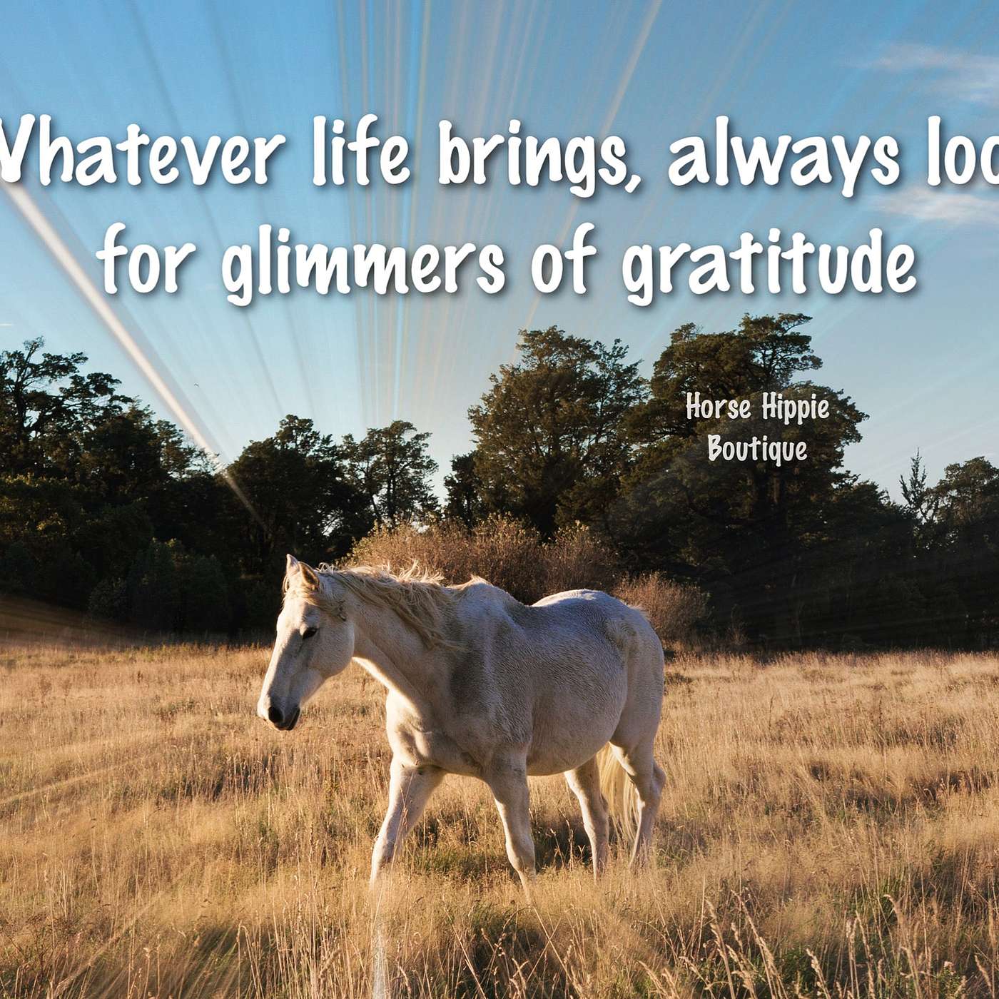 Glimmers of Gratitude episode artwork