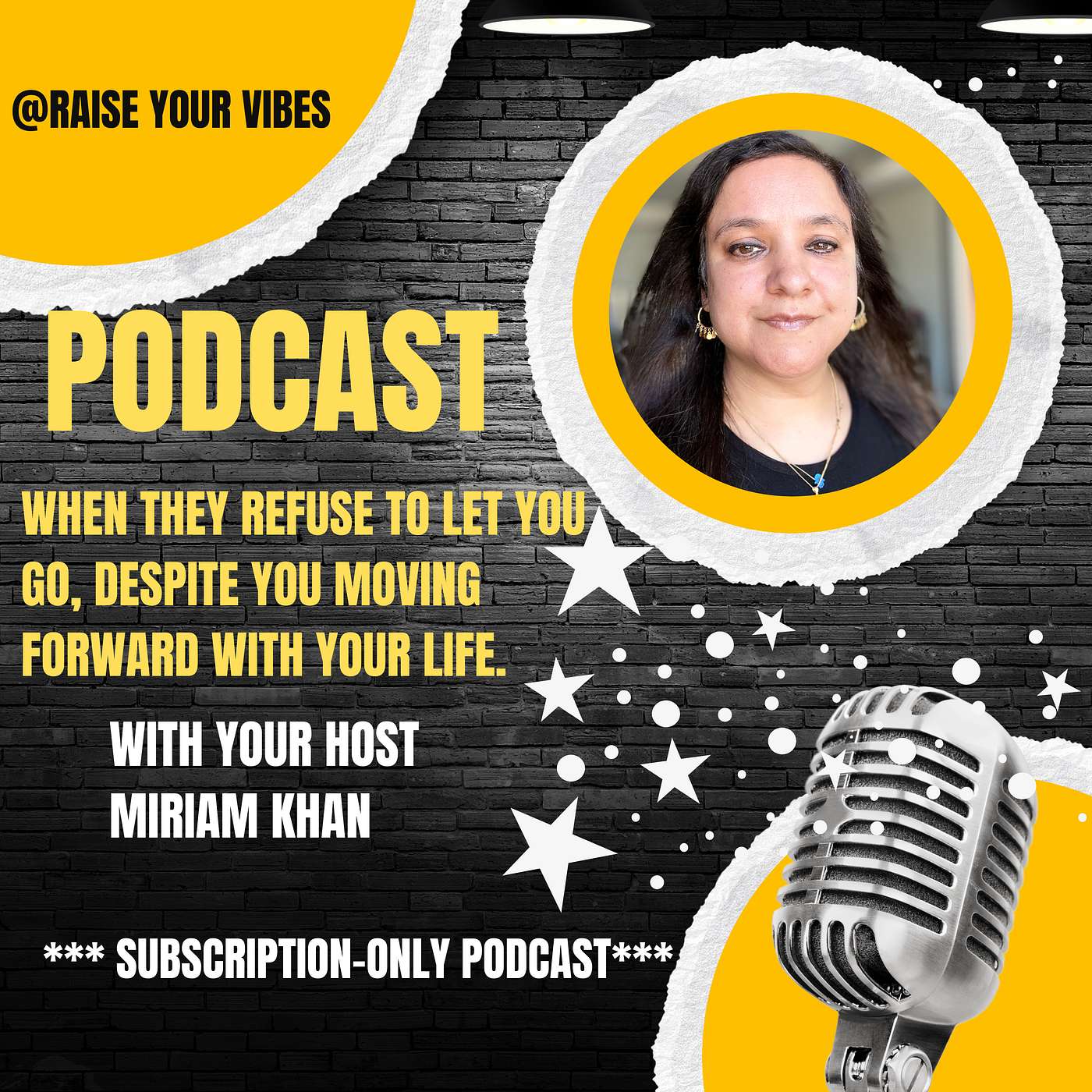 Raise Your Vibes Podcast