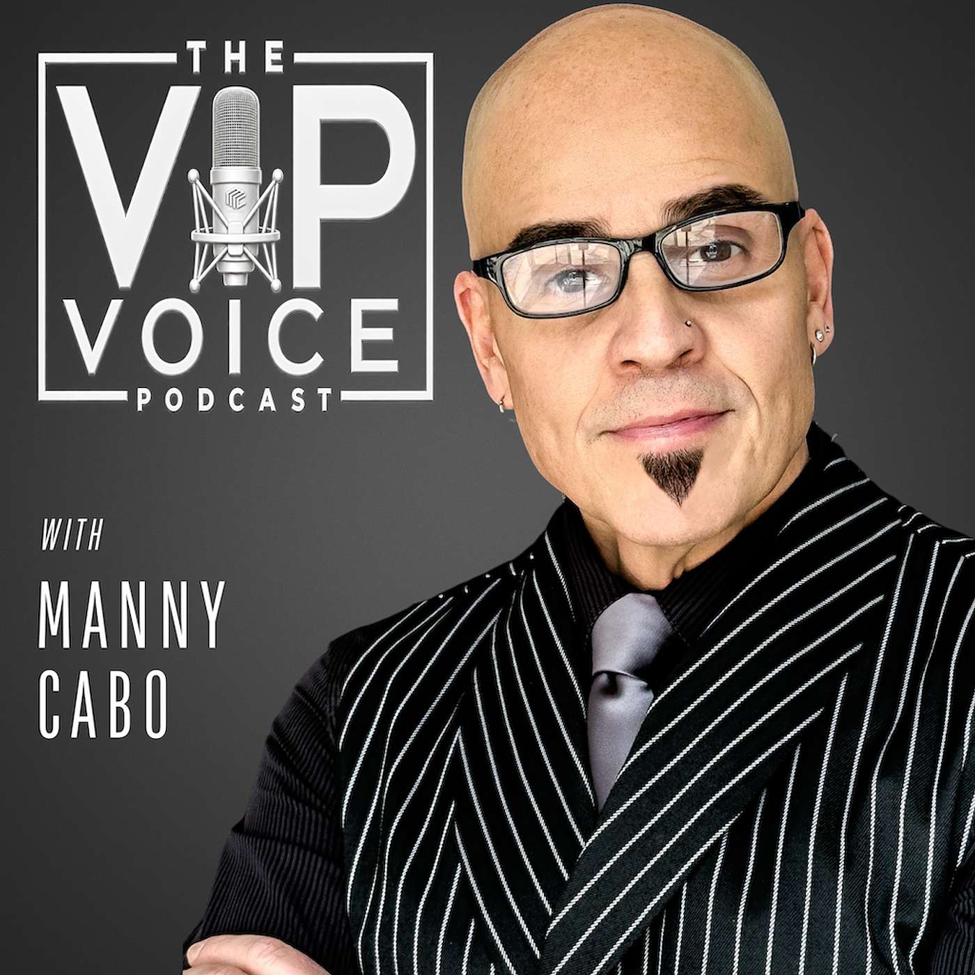 The VIP Voice | "Find Your Voice. Own The Room!" Artwork