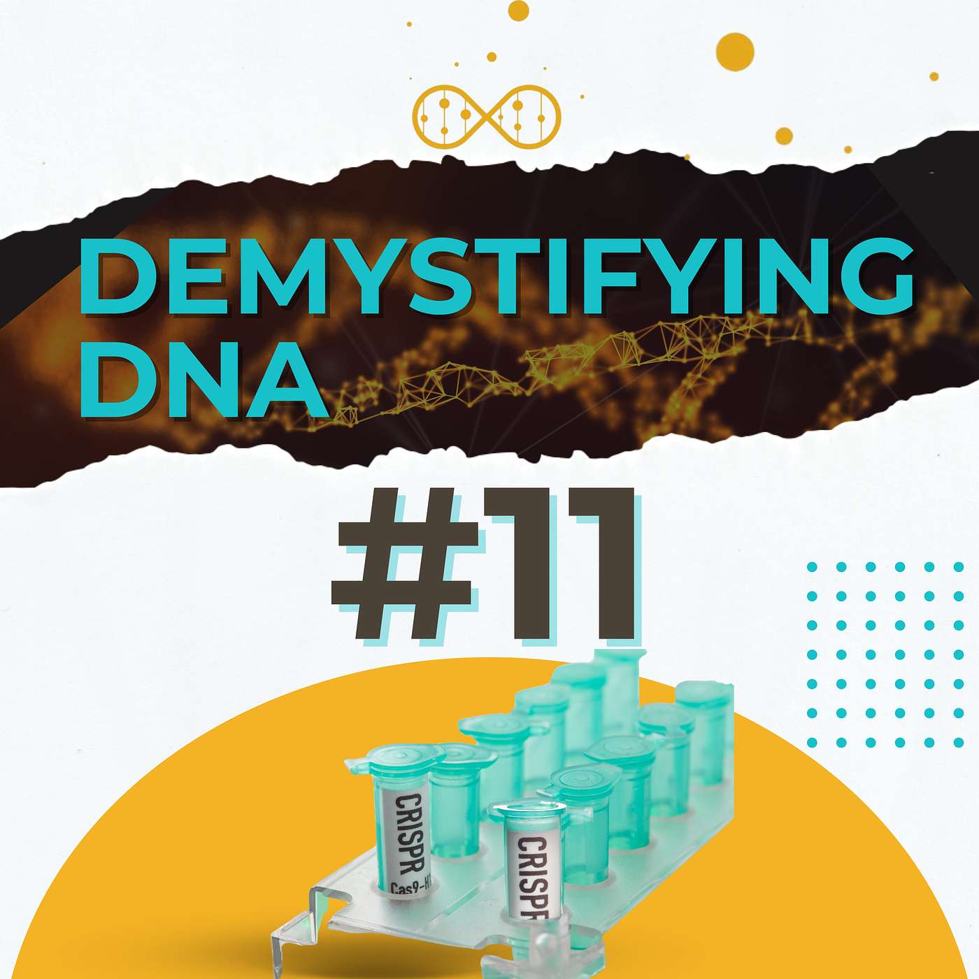 Demystifying DNA