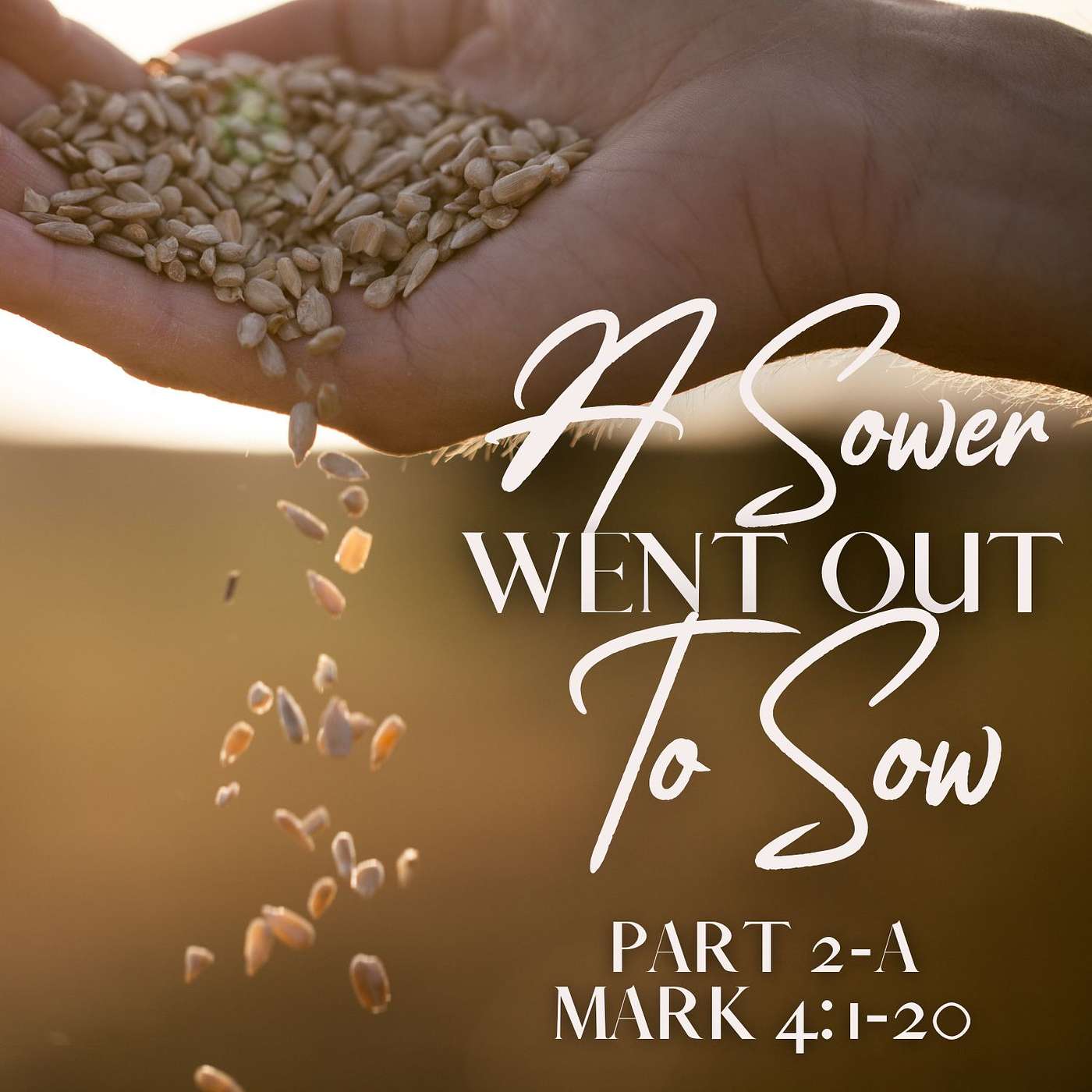 A Sower Went Out To Sow, Part 2a; Mark 4:1-20