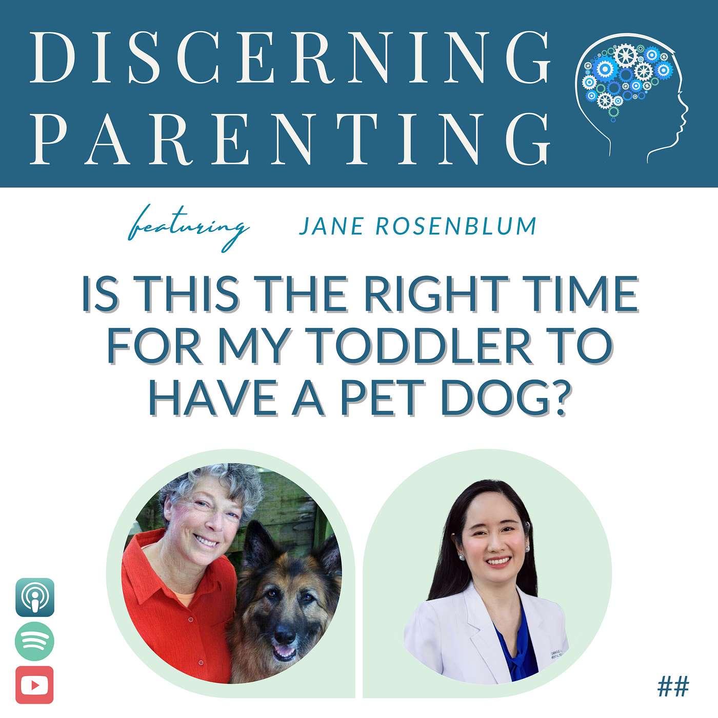 Discerning Parenting
