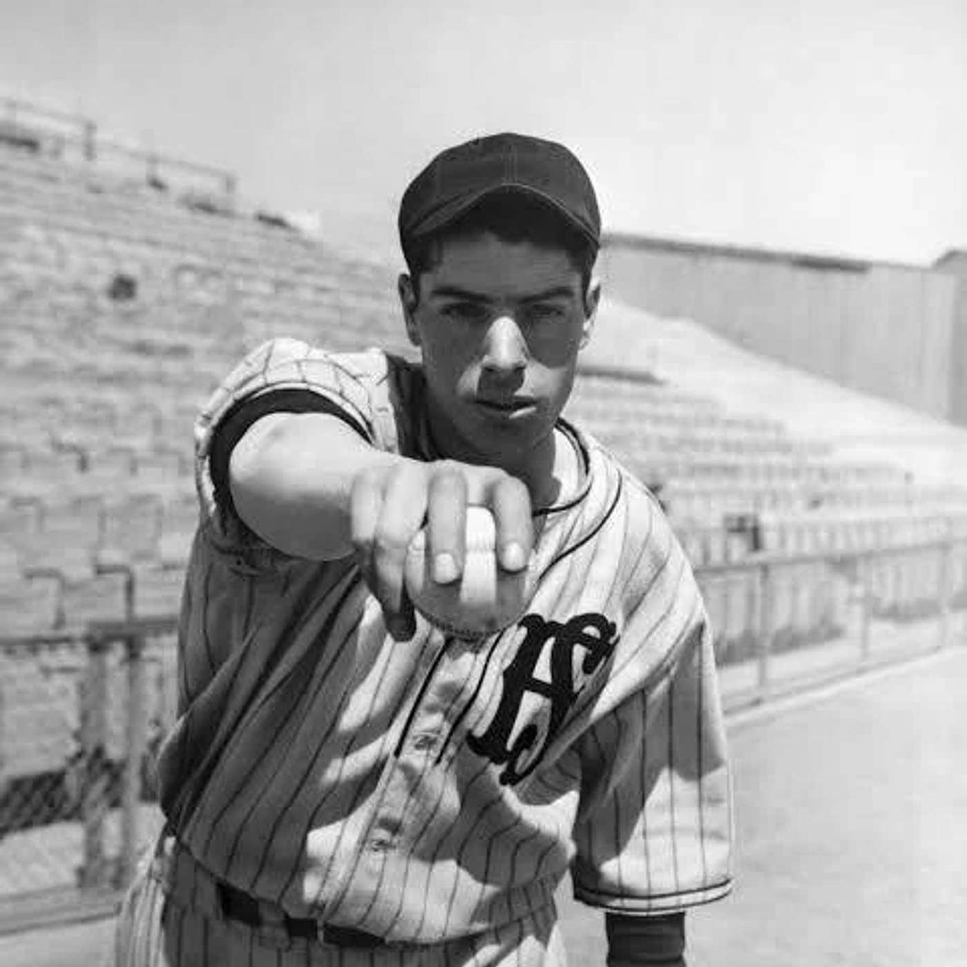 THE WORLD SERIES HEATS UP AND THE SPLENDID BOHEMIANS CELEBRATE THE BUOYS OF SUMMER WITH OUR MUSICAL TRIBUTE TO BASEBALL! WITH WARREN ZEVON, BOB DYLAN, STEVE GOODMAN, AND THE JITTER BUGGING ODE TO JOE DIMAGGIO BY TEDDY POWELL AND PEGGY MANN. BATTER UP!!