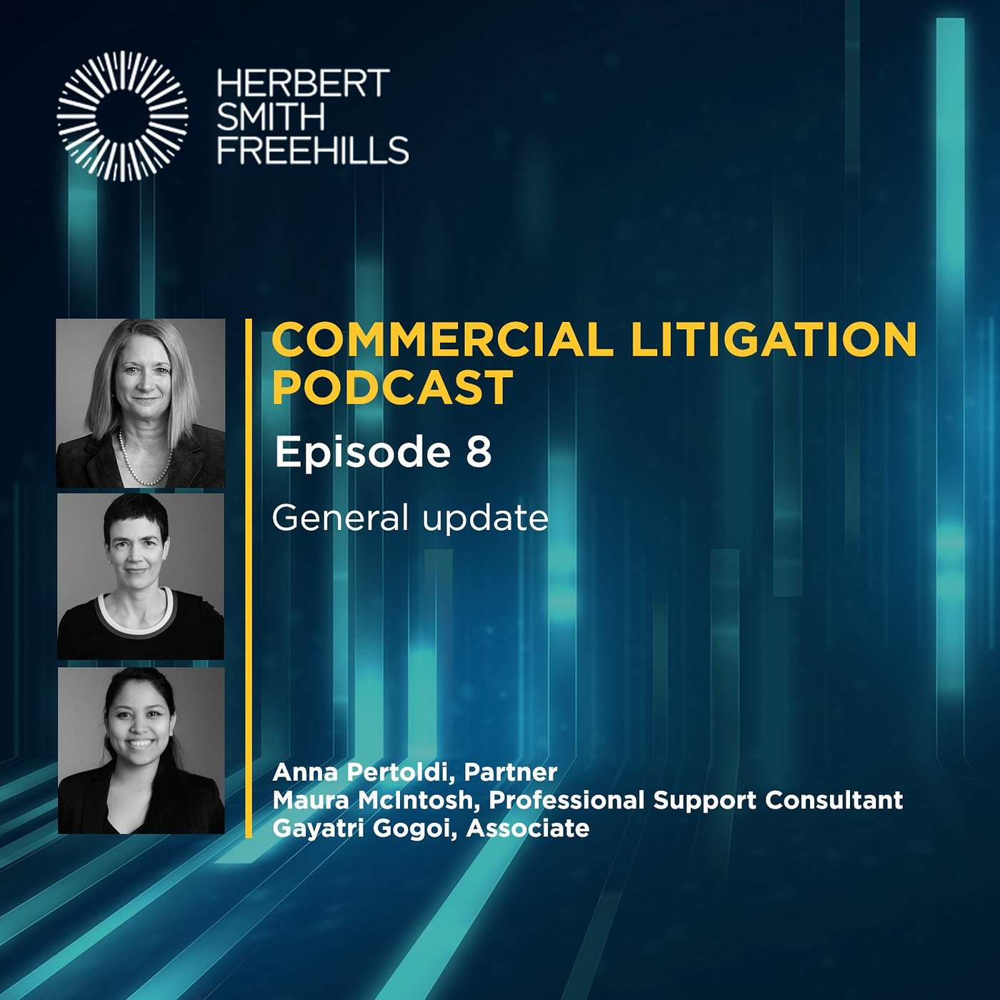 Commercial Litigation EP8: General Update episode artwork