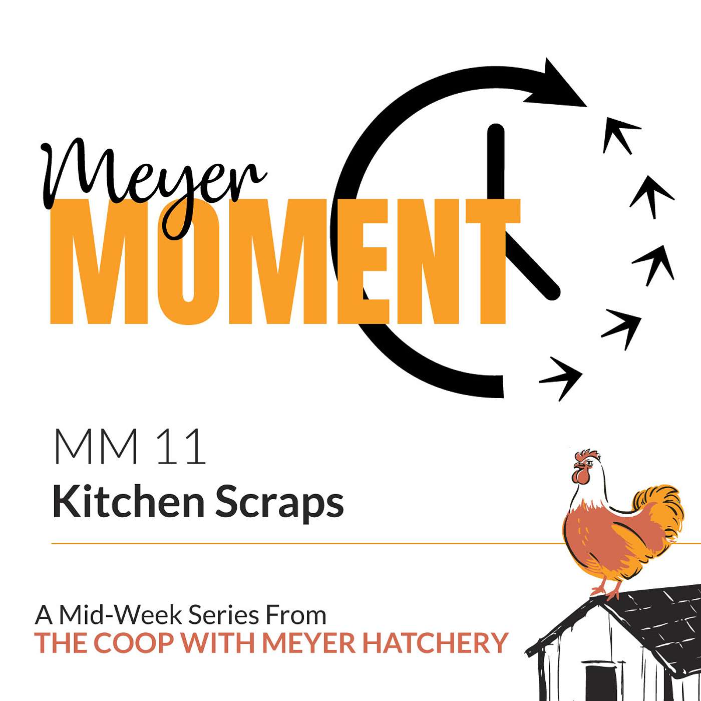 Meyer Moment: Kitchen Scraps