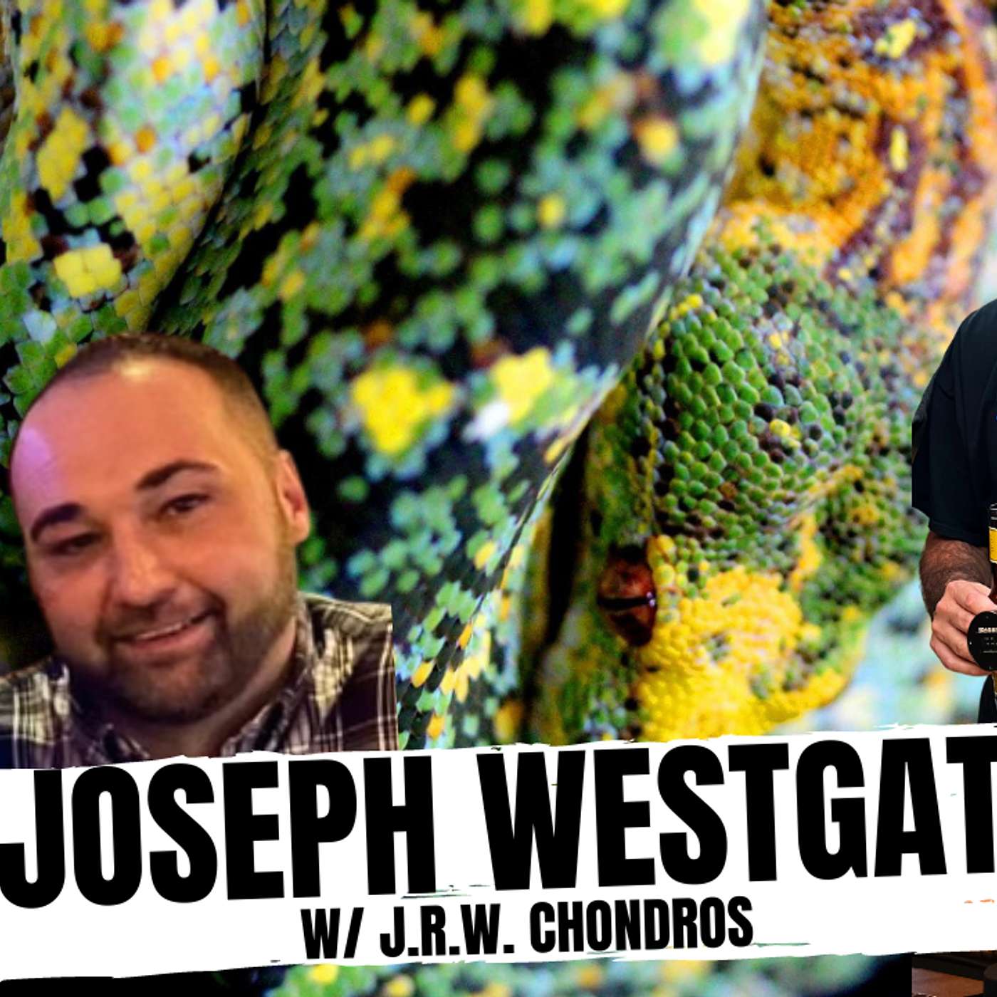 Handling multiple Green Tree Python clutches in the same year | All In The Tree Tuesday Live