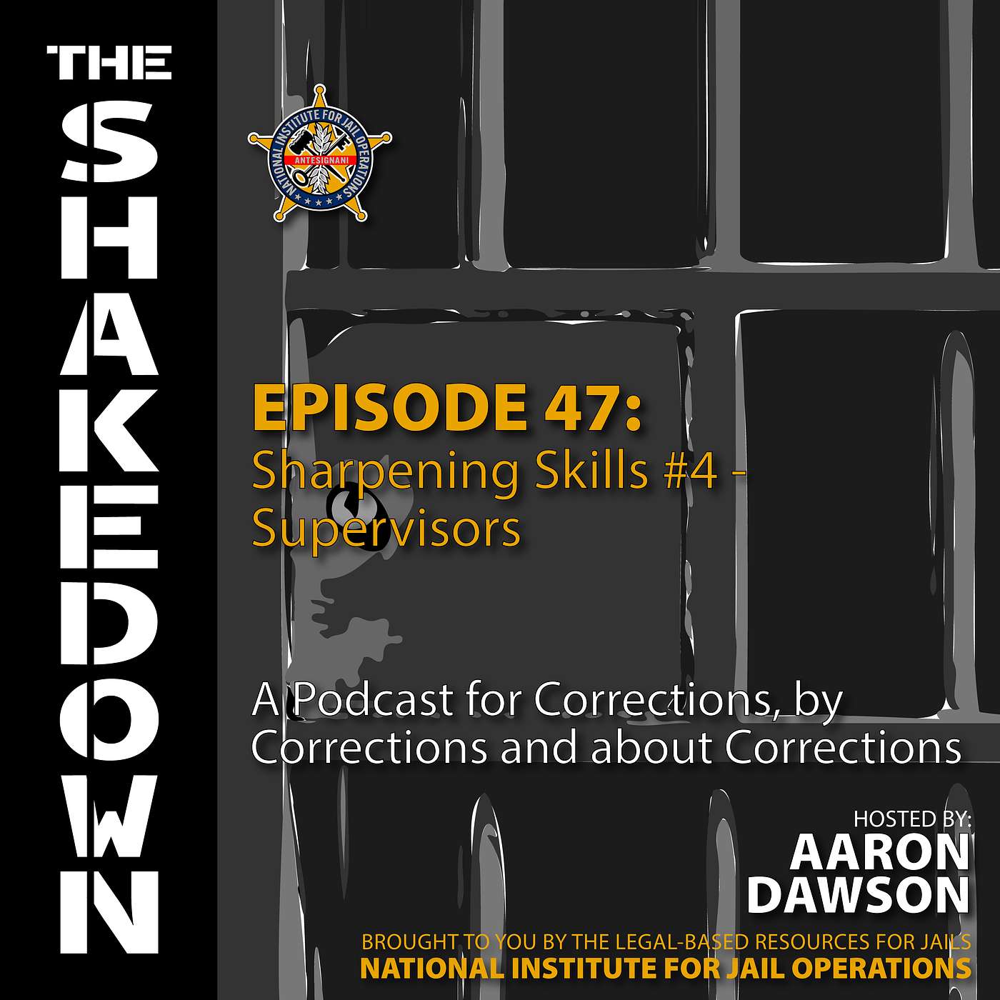 Episode 47: Sharpening Skills #4 - Supervisors