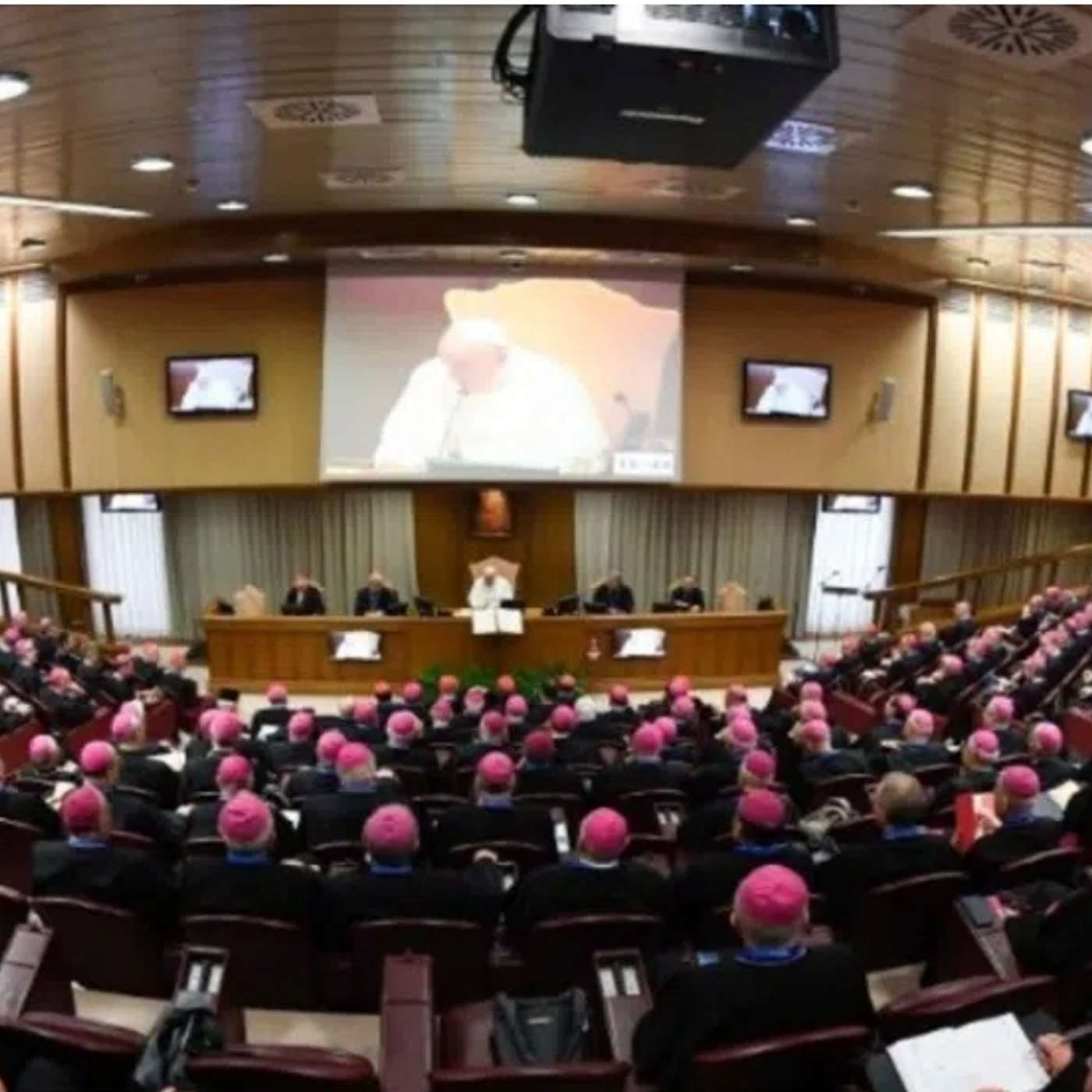 Episodio 858: Episcopado Italiano FALSEA Doctrina Católica sobre HOMOSEXUALIDAD ¿Qué enseña La Iglesia?Luis Roman episode artwork