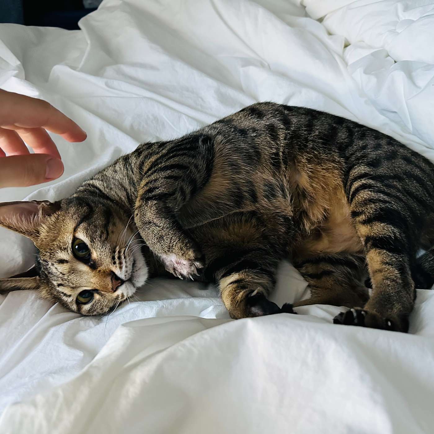 Ep 20 大叔為何選擇神經外科這條不歸路 Ep 20 大叔為何選擇神經外科這條不歸路