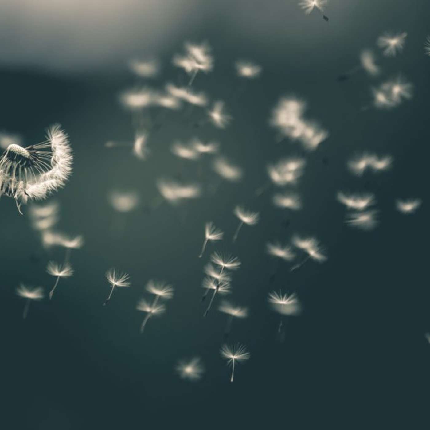 Connect back and Stay connected to God in your Spiritual Walk