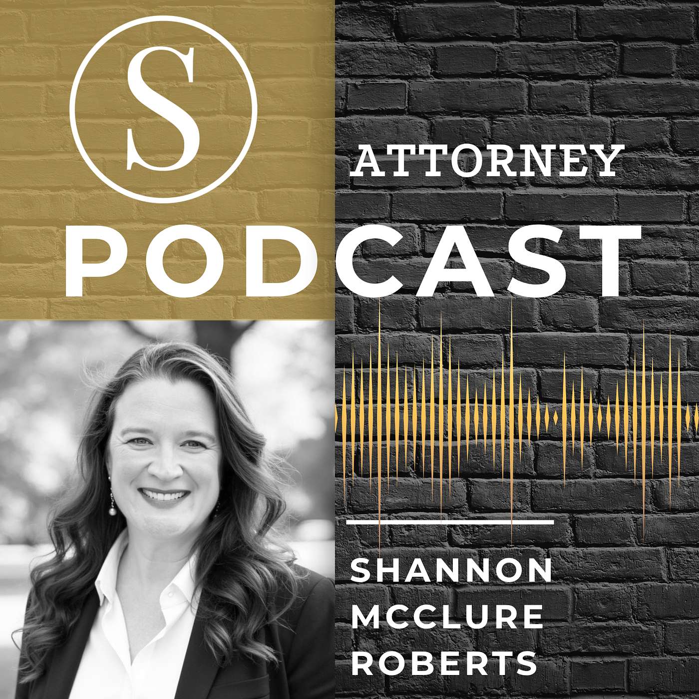 Shannon McClure Roberts: Leadership, Growth, and High-Stakes Litigation episode artwork
