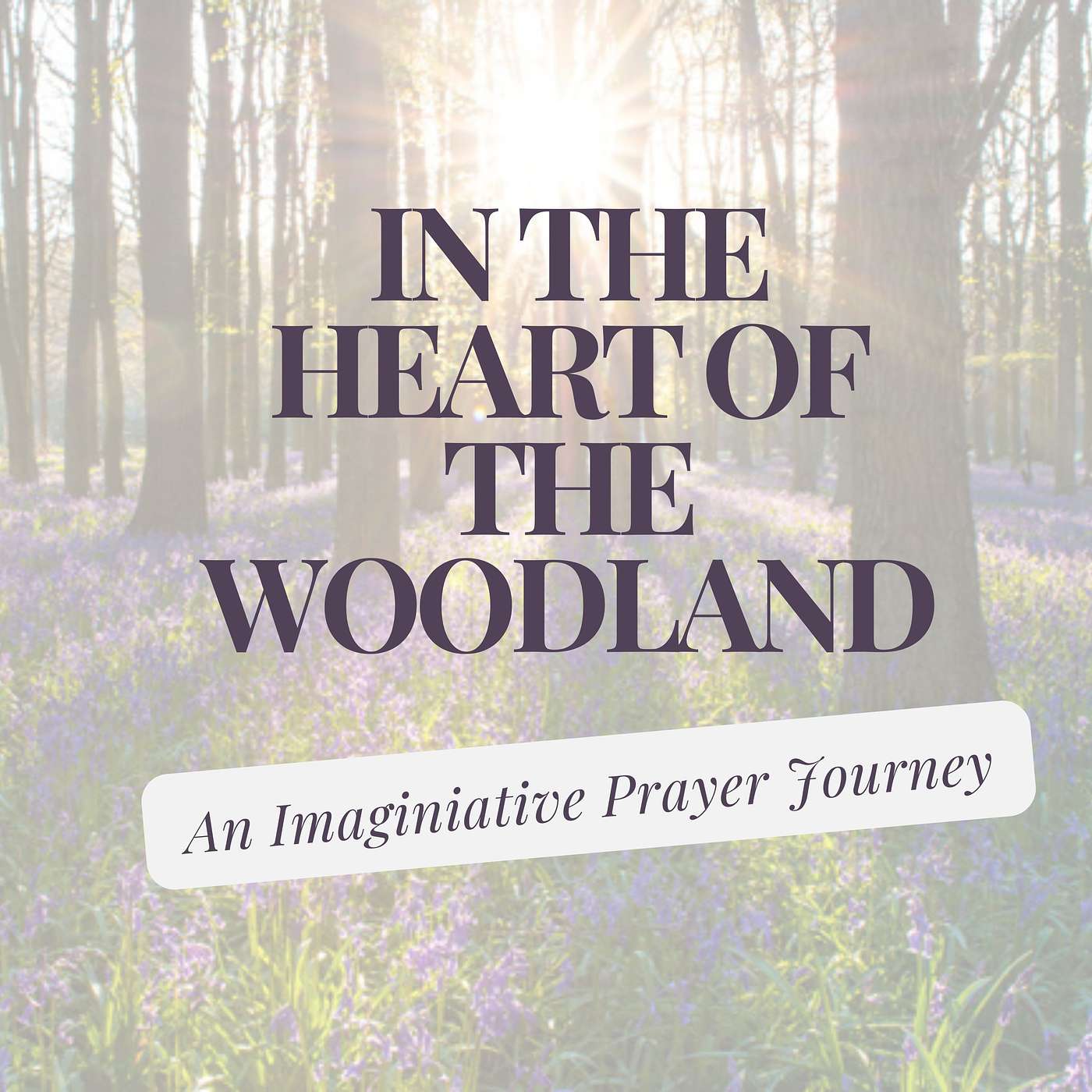 In the Heart of the Woodland: An Imaginative Prayer Journey’ (For those with Climate & Ecological Grief) episode artwork